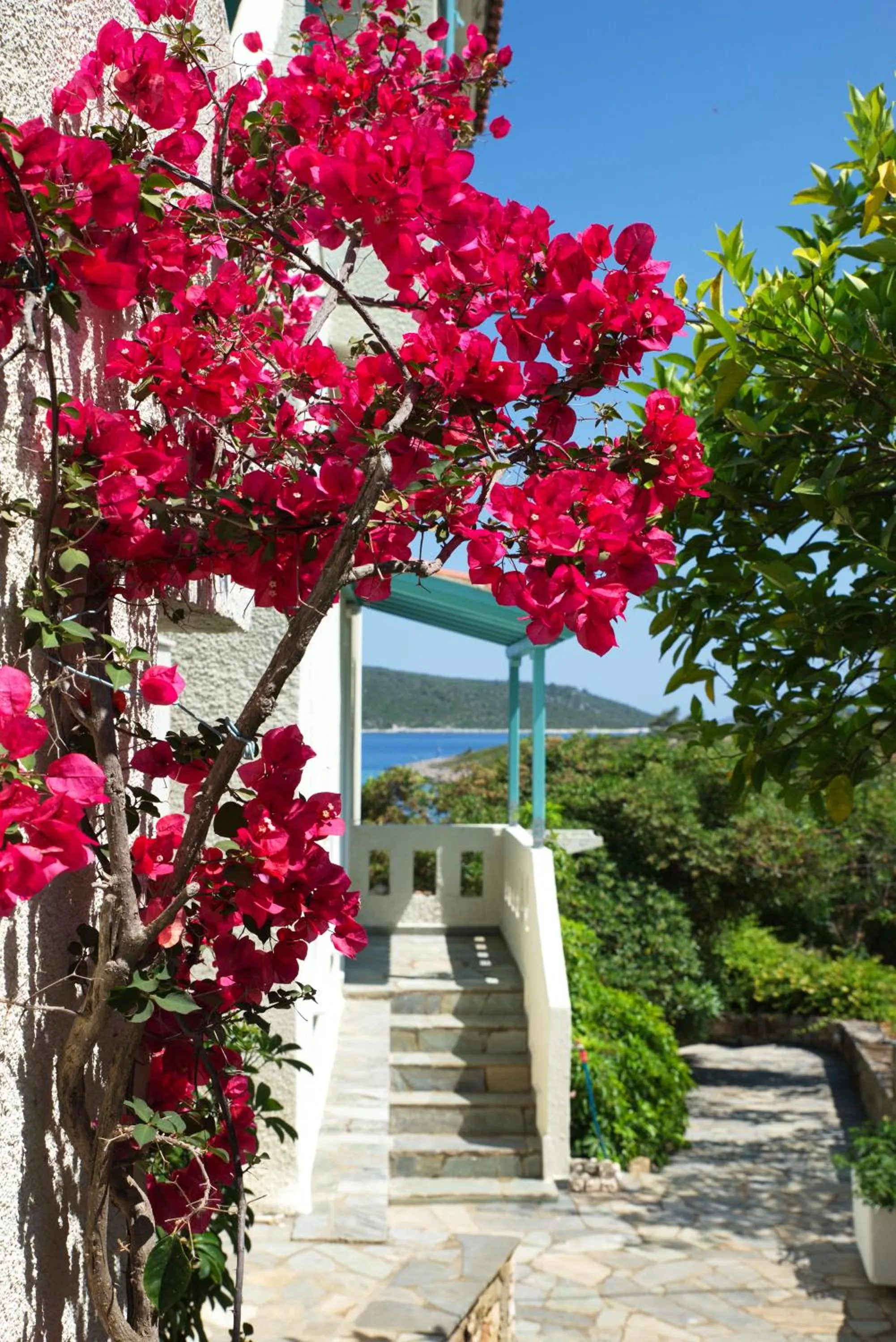 Property building in Casa Kalypso