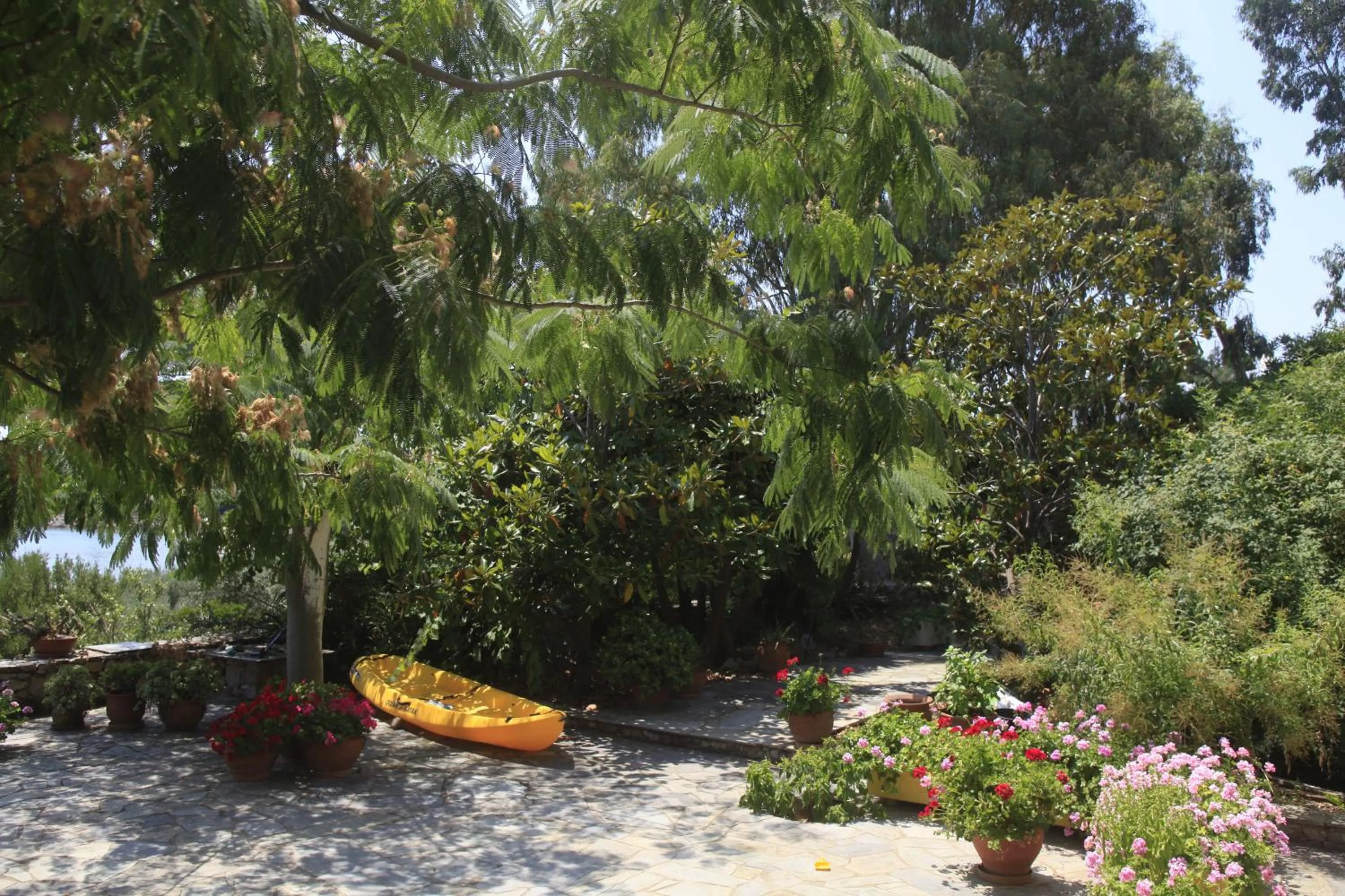 Garden in Casa Kalypso