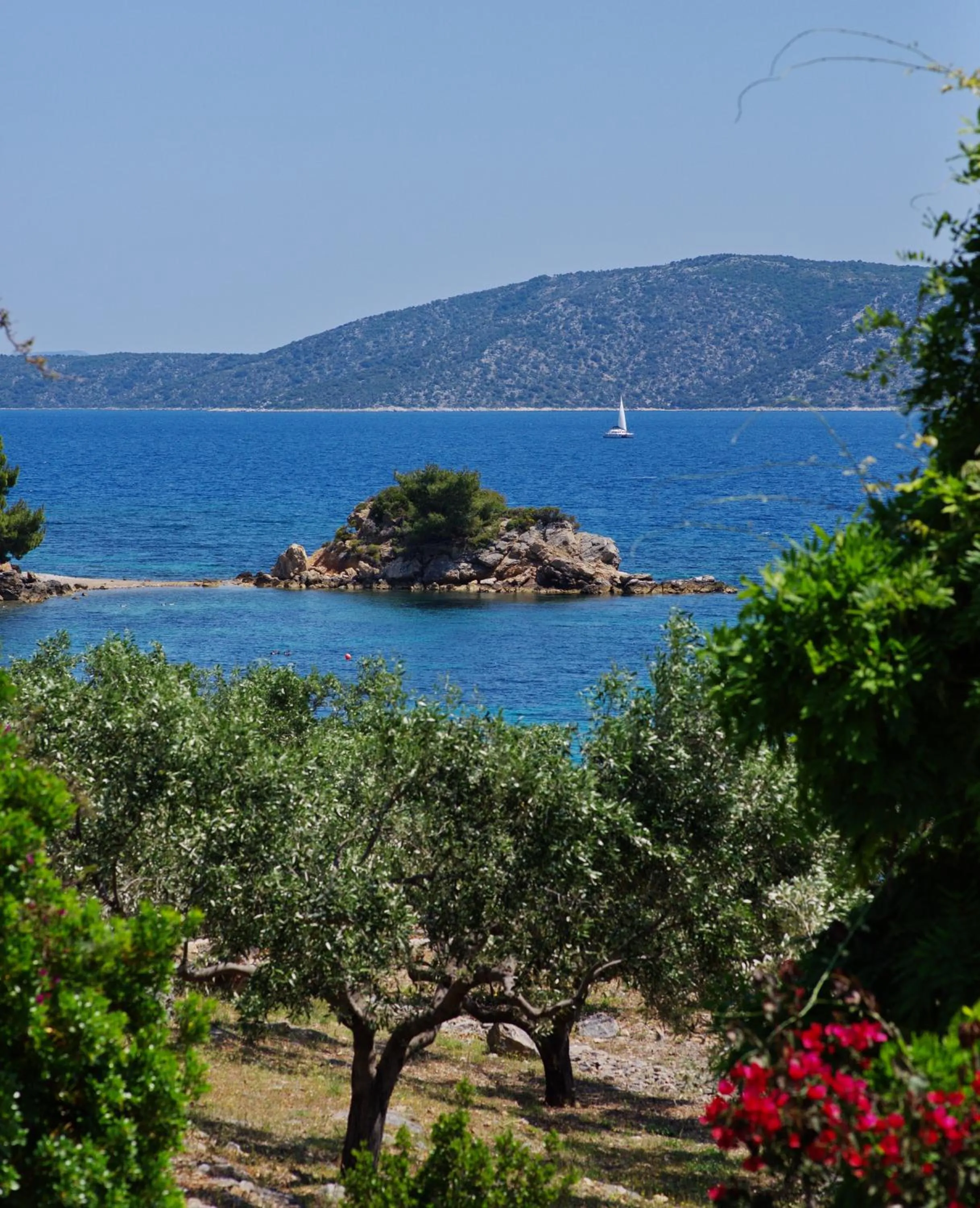 Natural landscape in Casa Kalypso