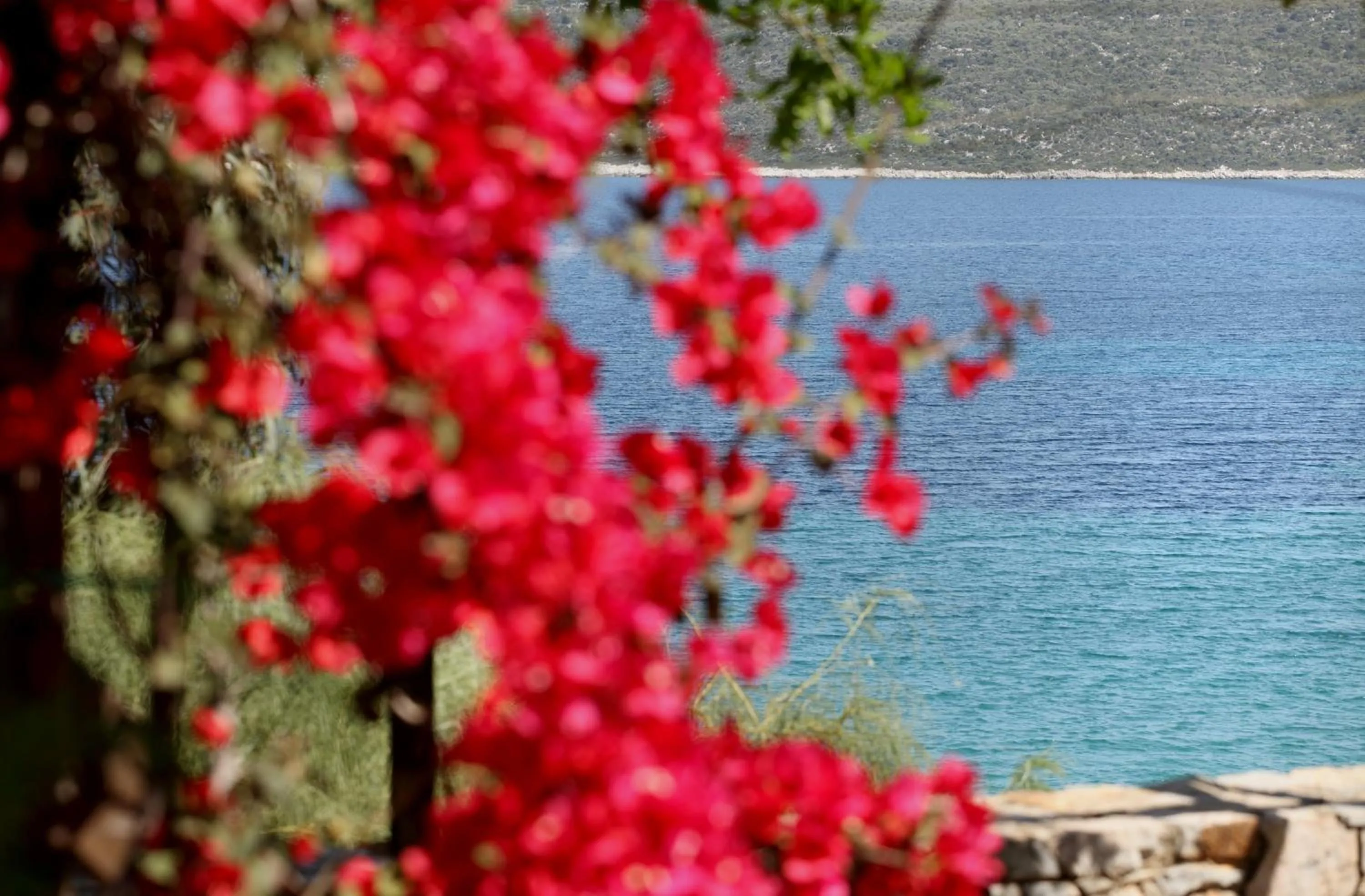 Garden in Casa Kalypso