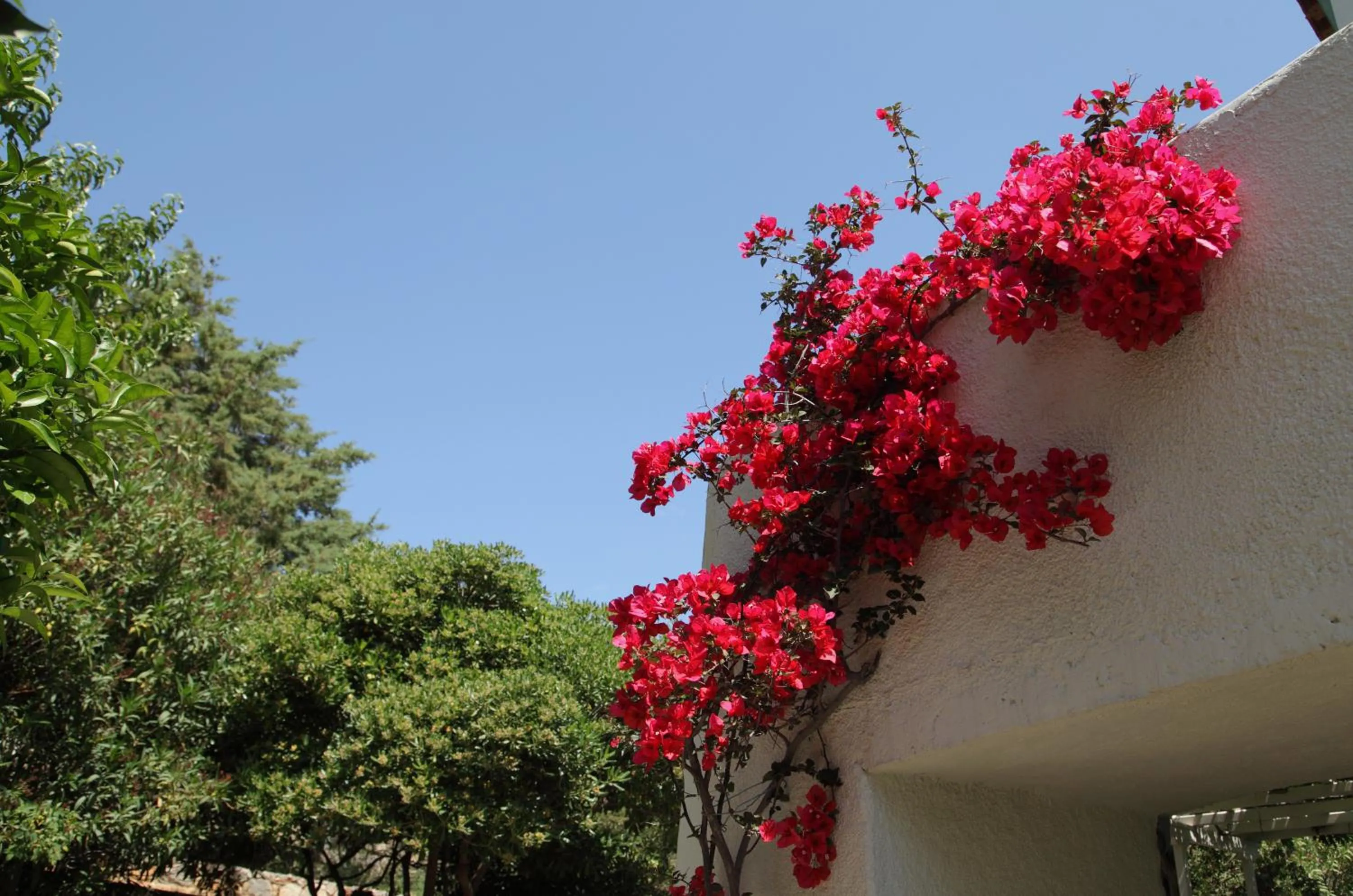 Facade/entrance in Casa Kalypso