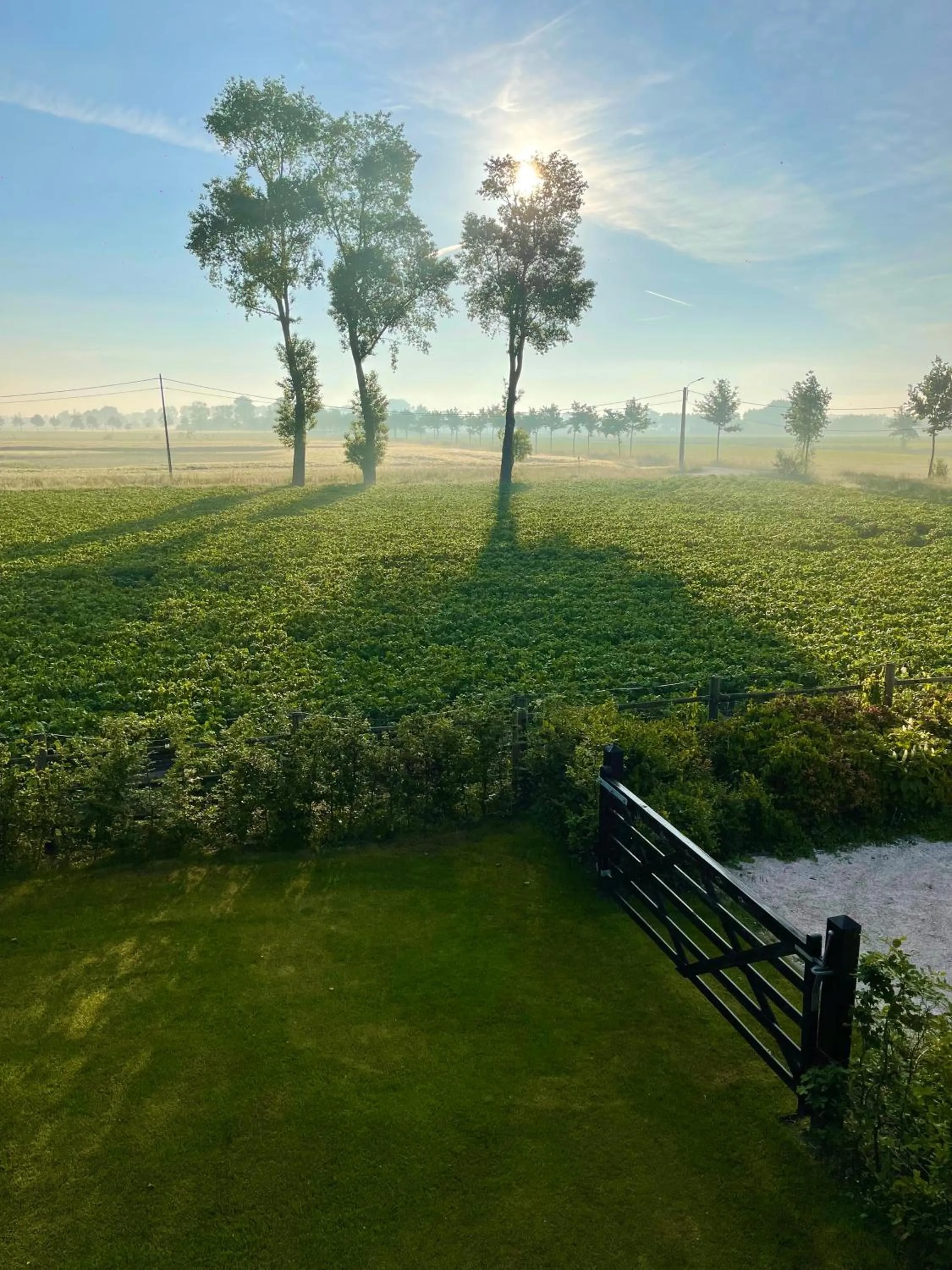 Garden view in Hoeve La Cascina