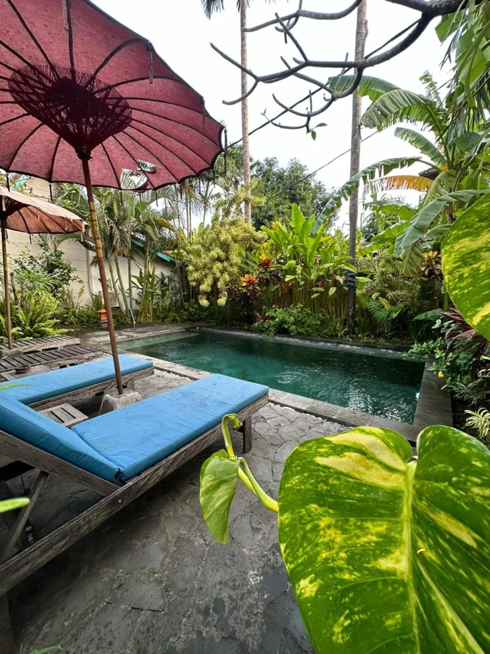 ComeBack GuestHouse