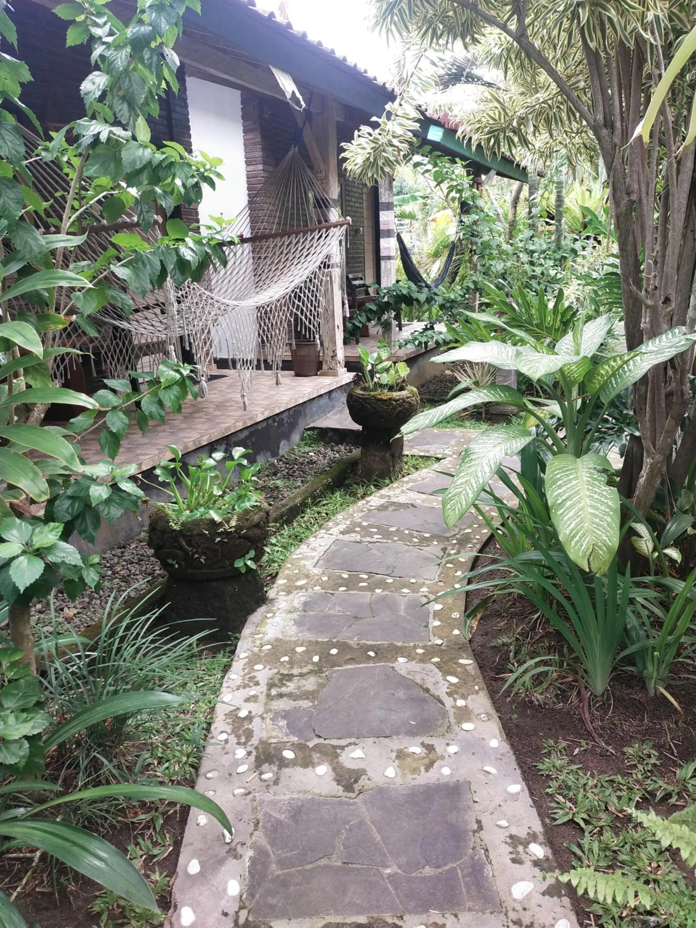 ComeBack GuestHouse