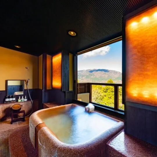 Hot Spring Bath, Bed in Hakone Kyuan