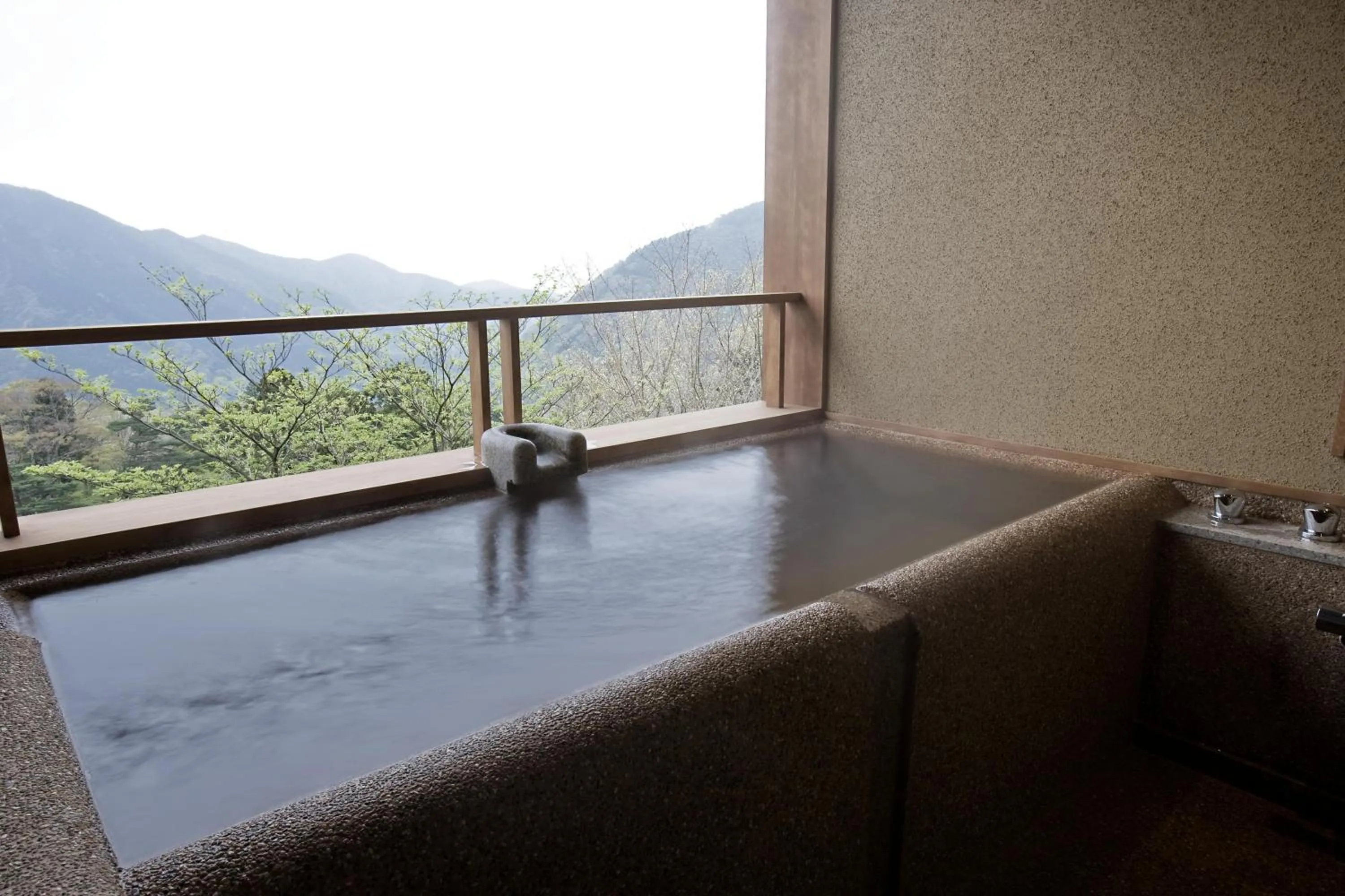 Hot Spring Bath in Hakone Kyuan