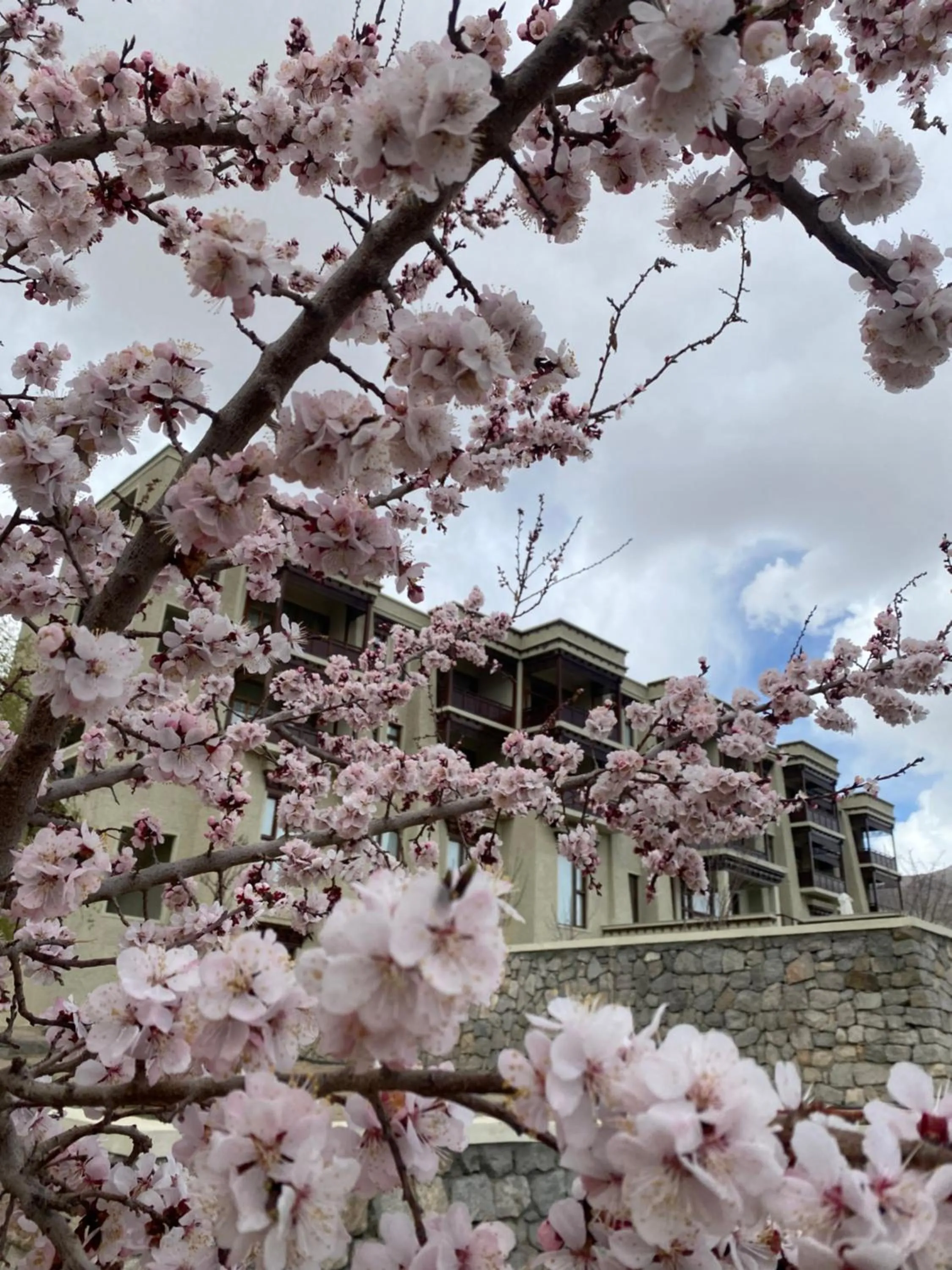 Property building in Hotel Rewa Ladakh