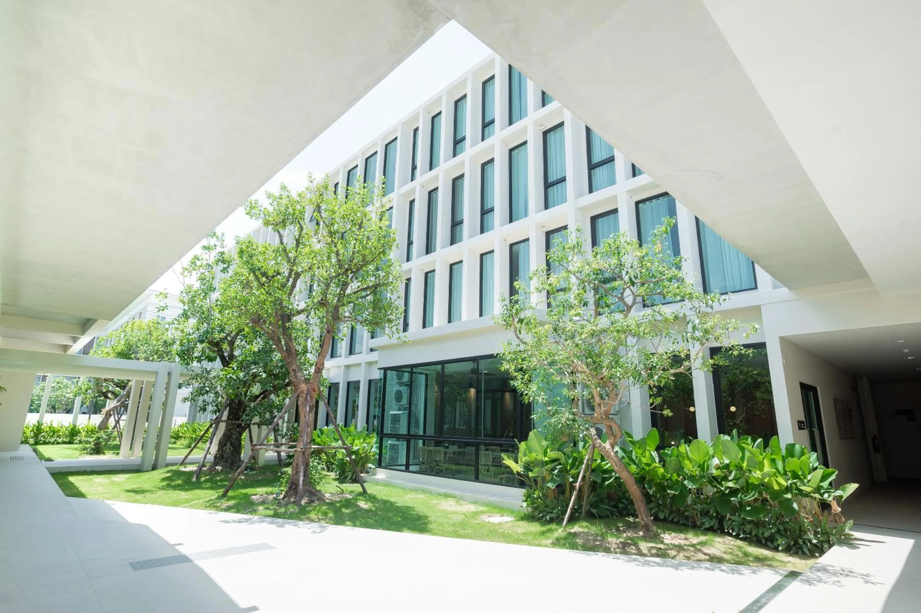 Natural landscape in Pillows boutique hotel