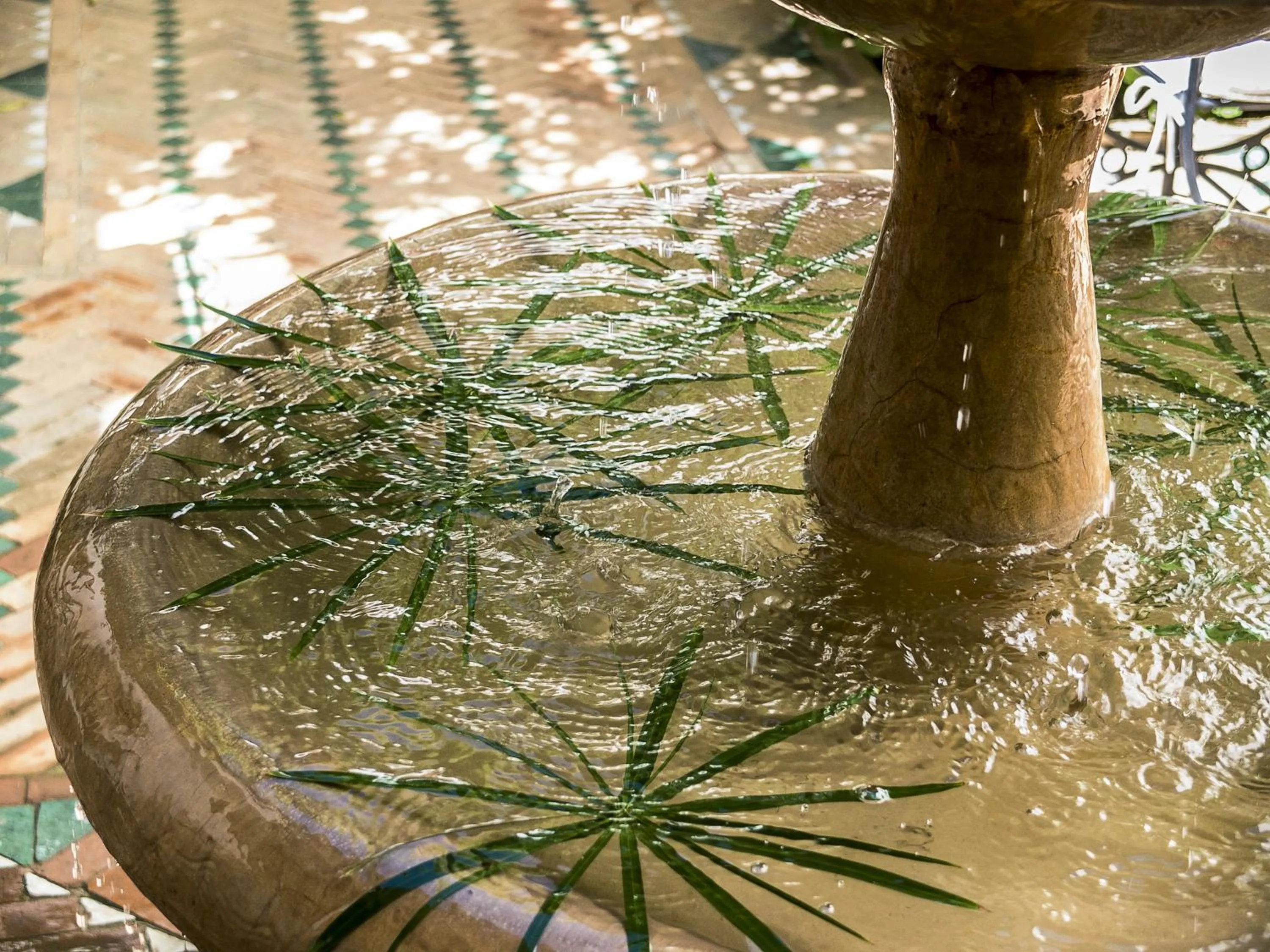 Patio in Riad Clémentine