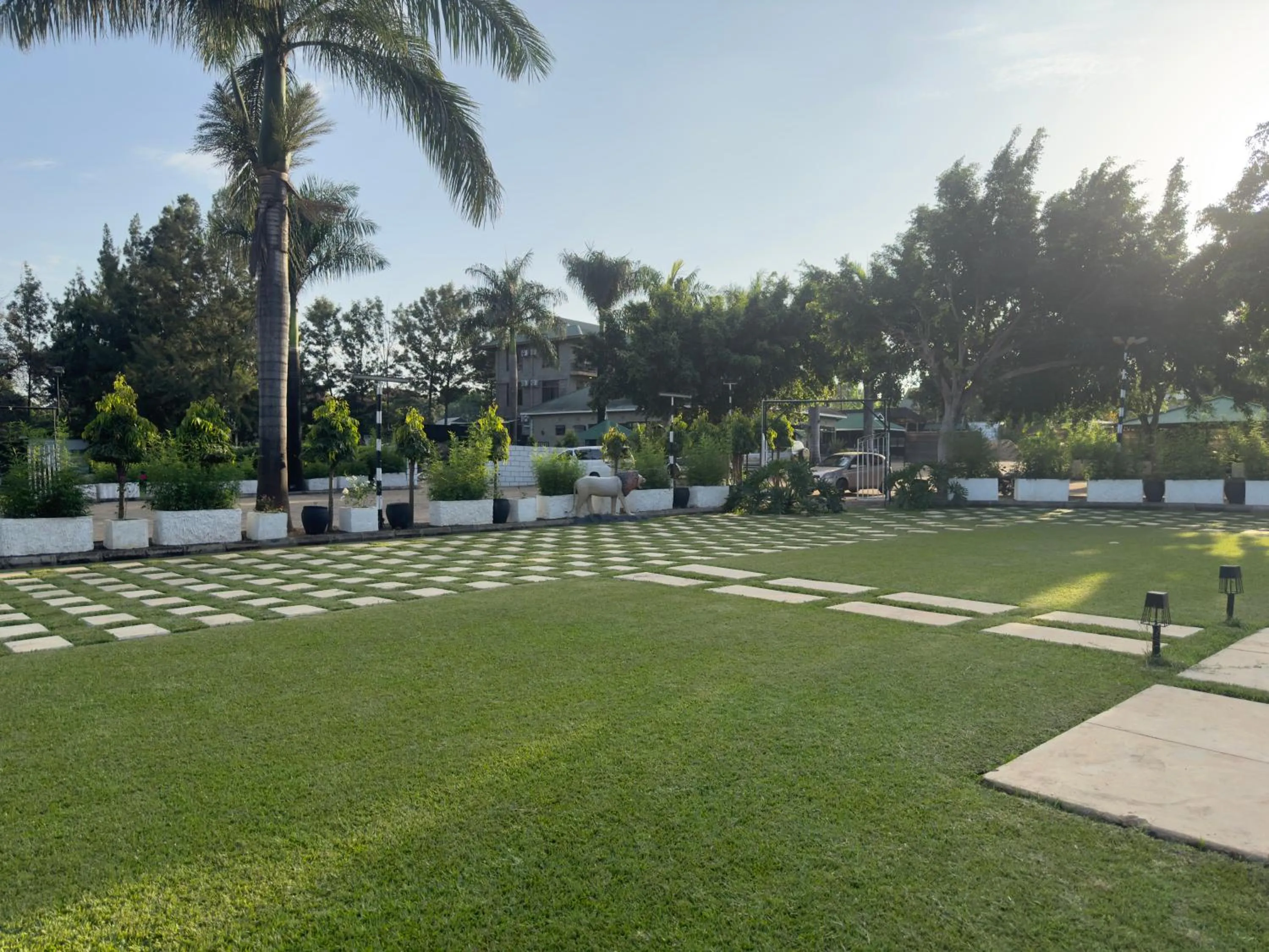 Garden in Njiro Climax