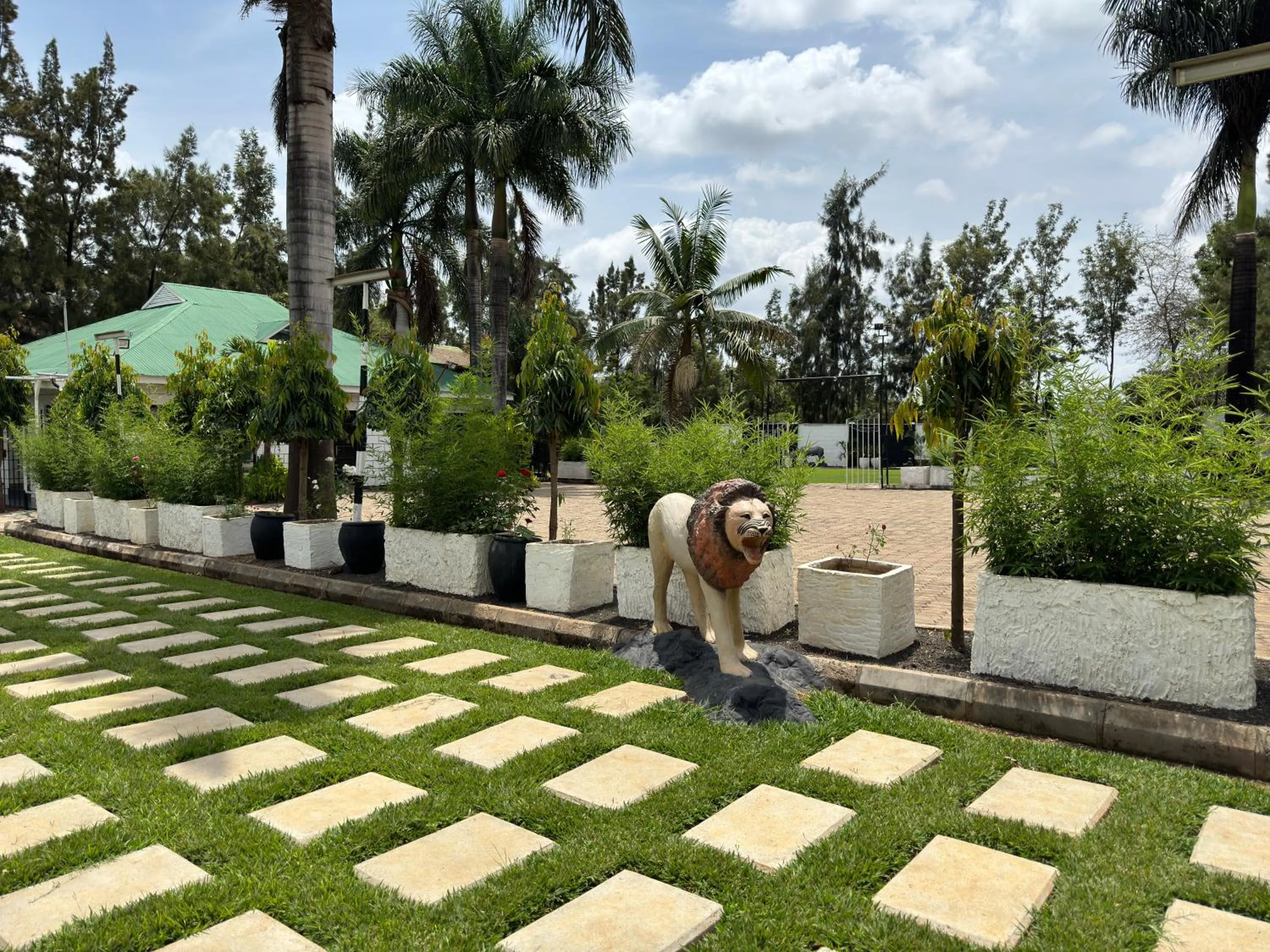 Spring in Njiro Climax