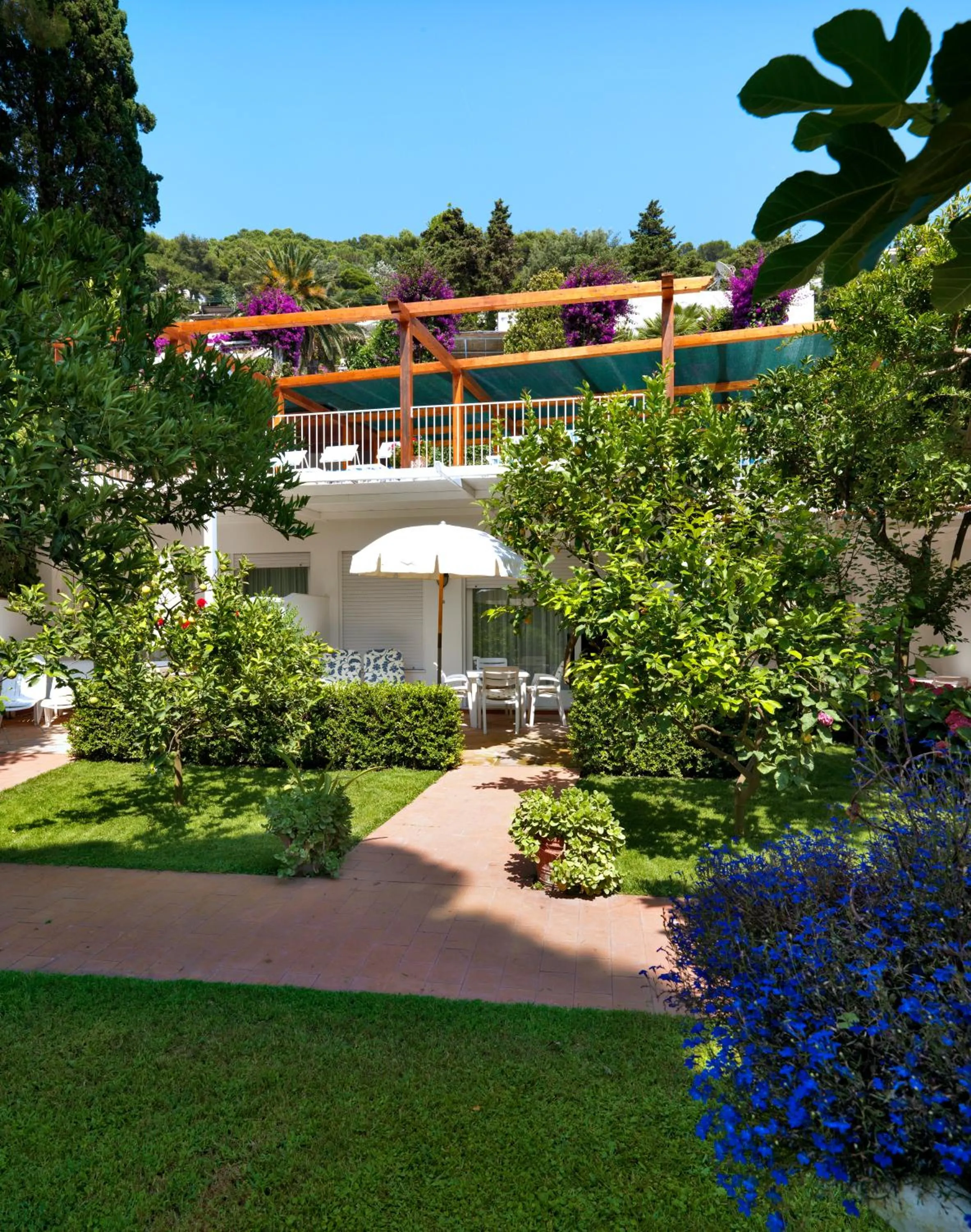 Garden in Hotel Villa Brunella