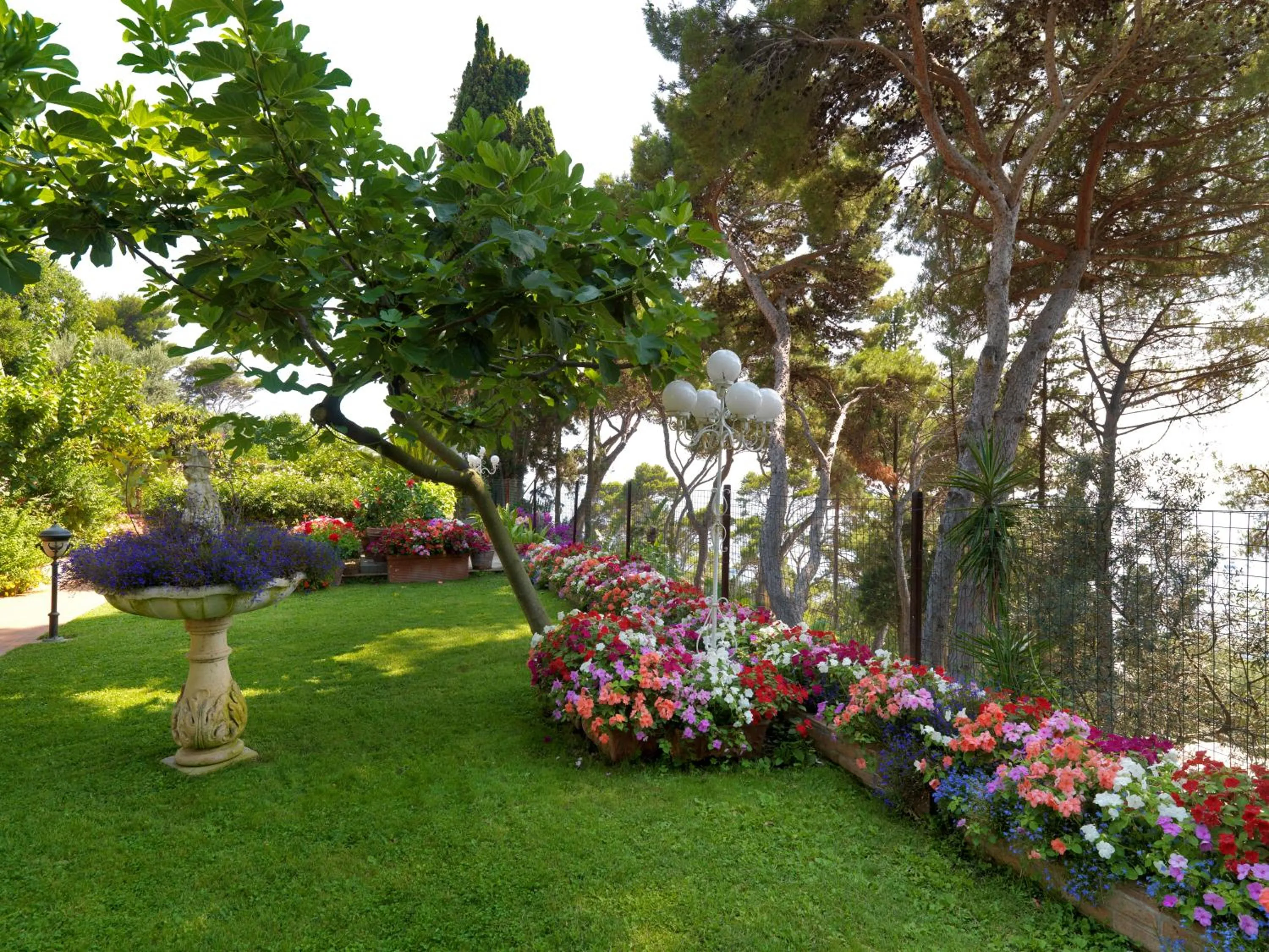 Garden in Hotel Villa Brunella