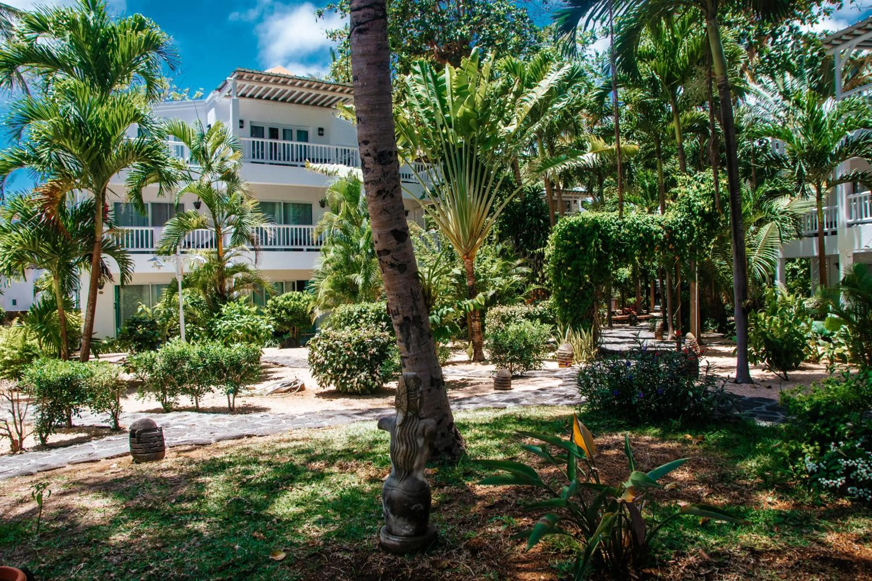 Garden in Hibiscus Boutique Hotel