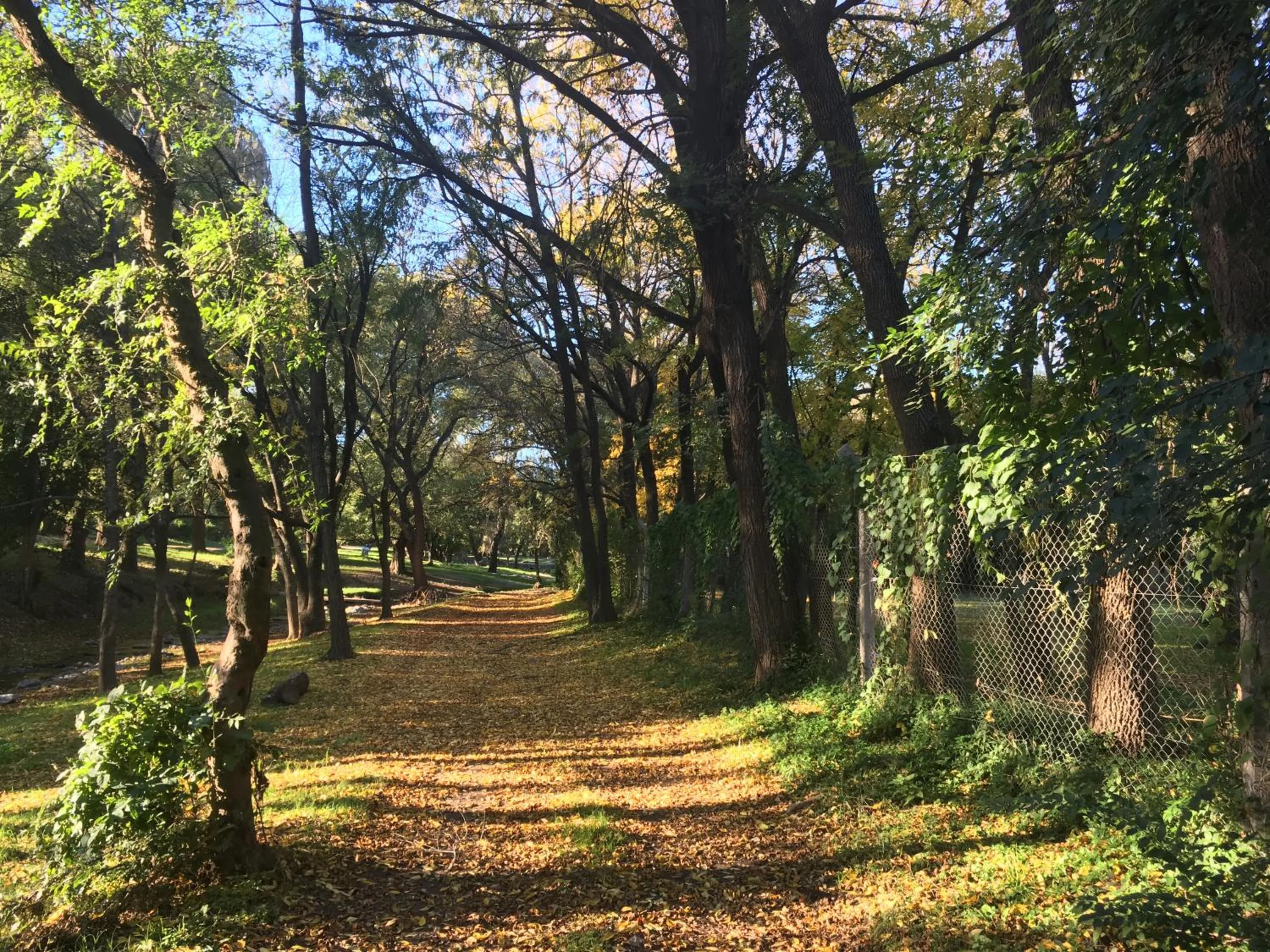 Natural landscape in Cabañas Aufenthalt