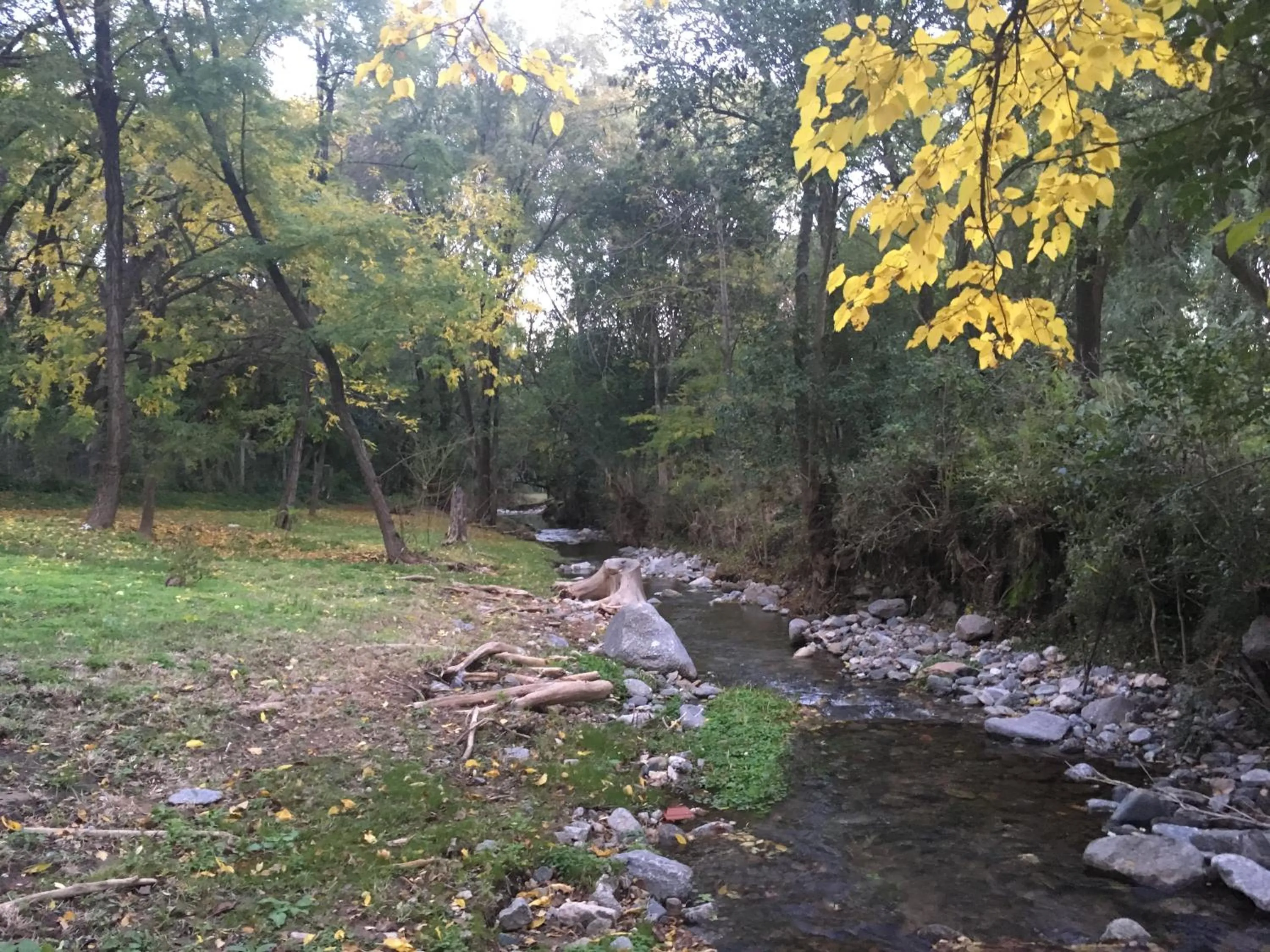 Natural landscape in Cabañas Aufenthalt