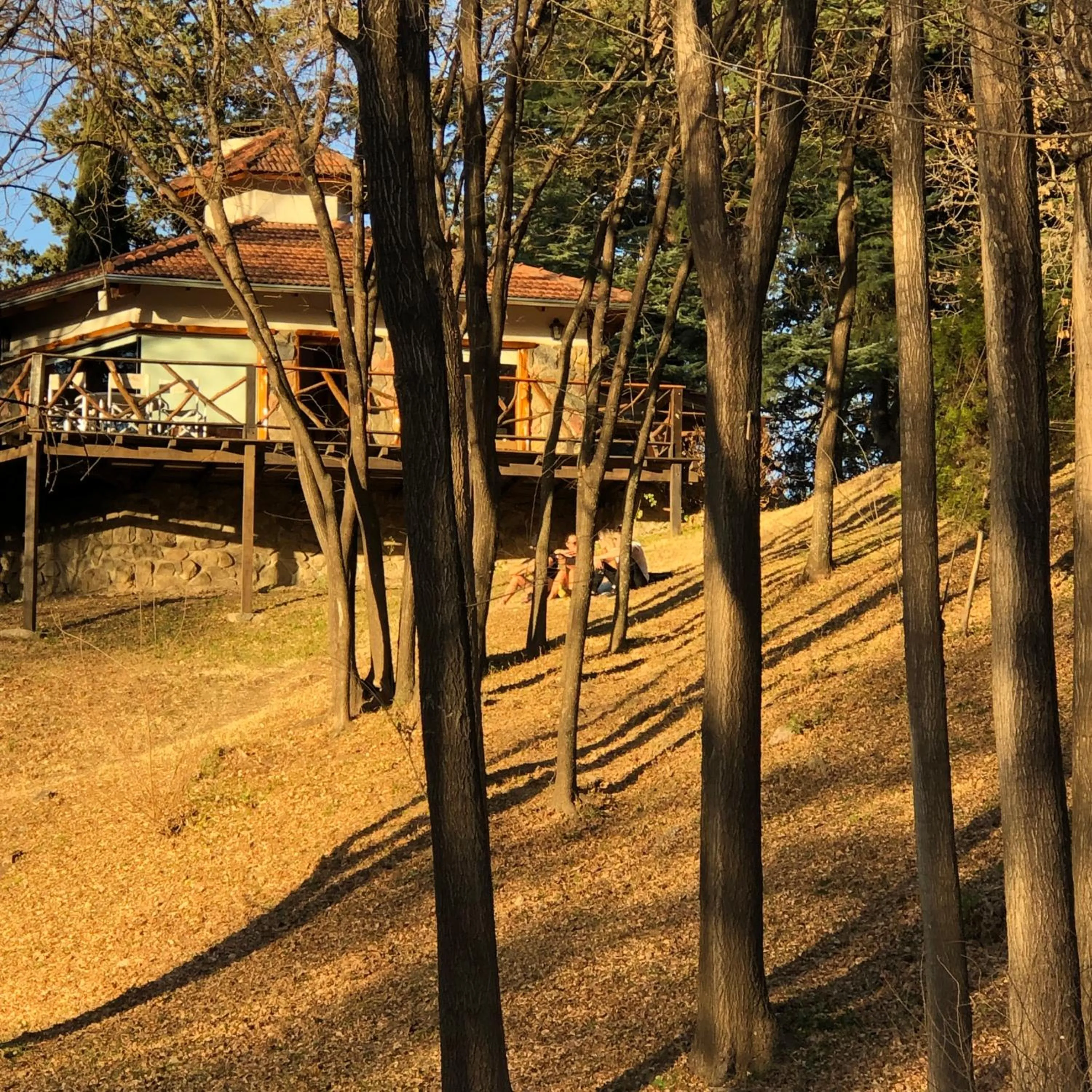 Natural landscape in Cabañas Aufenthalt