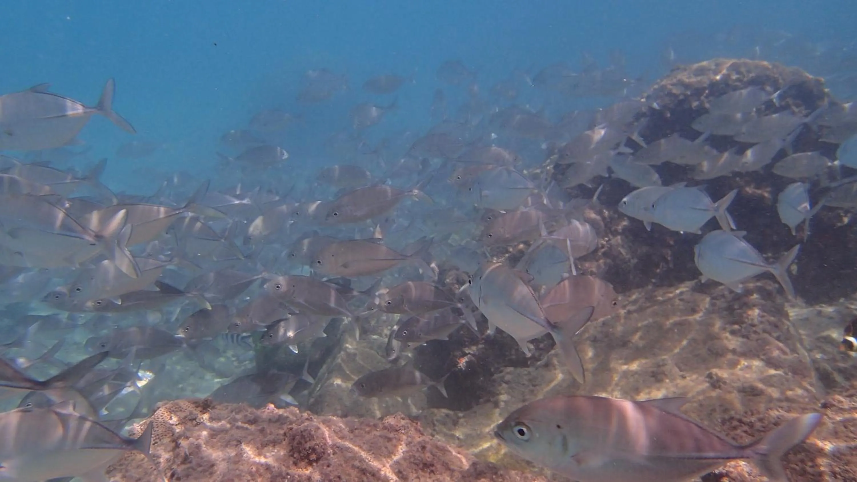 Fishing in Villa Anse La Blague