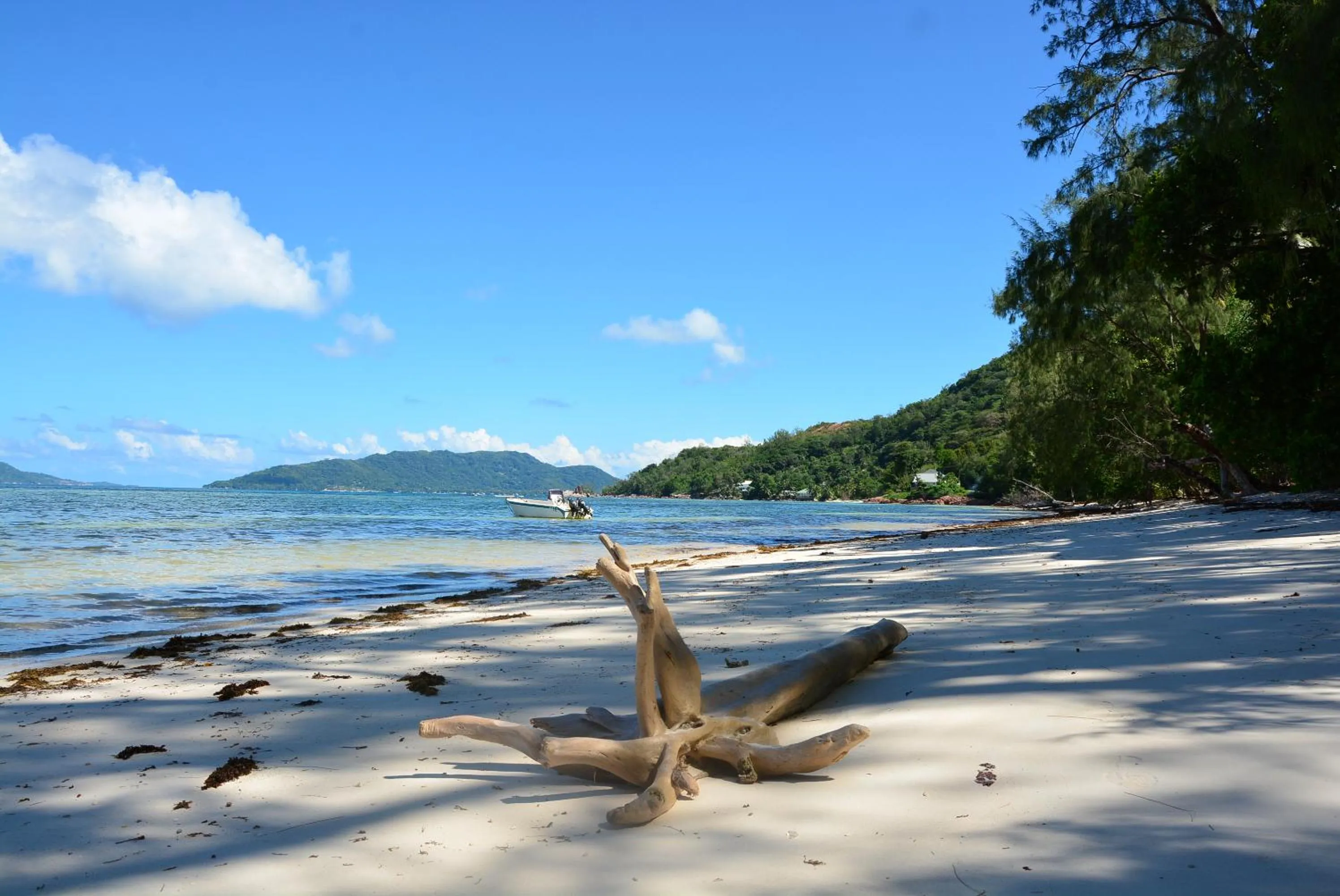 Natural landscape in Villa Anse La Blague