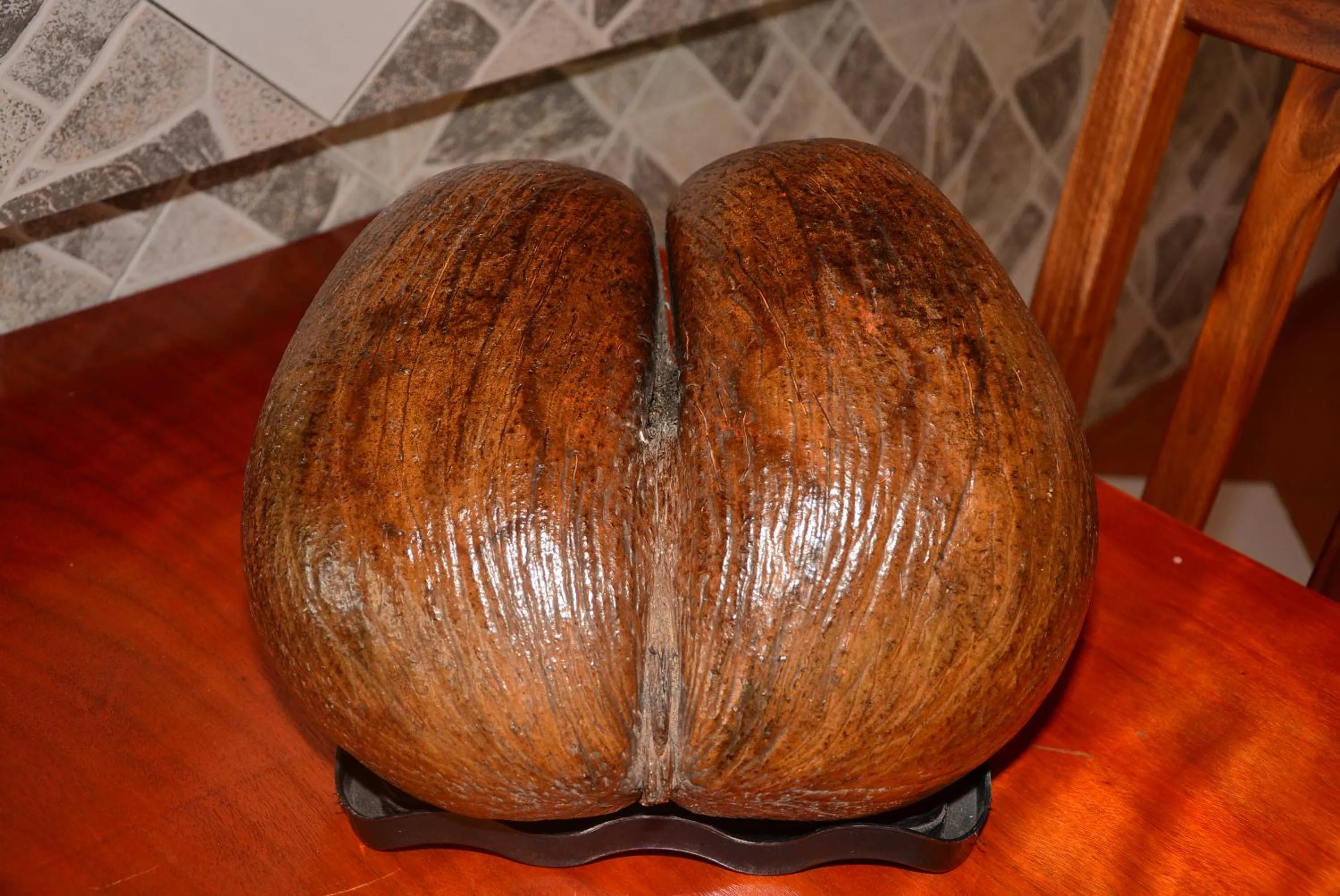 Food and drinks in Villa Anse La Blague