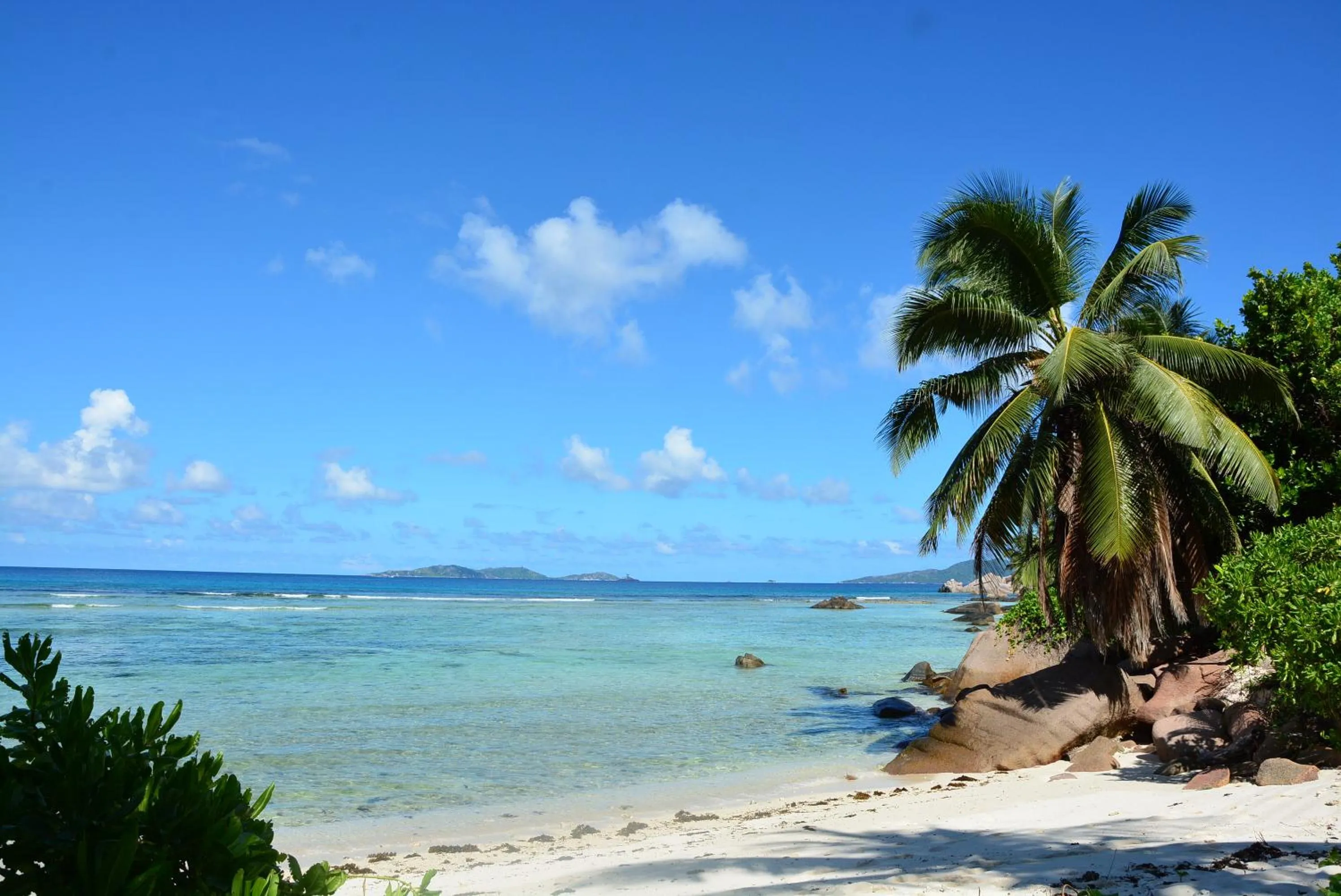 Natural landscape in Villa Anse La Blague