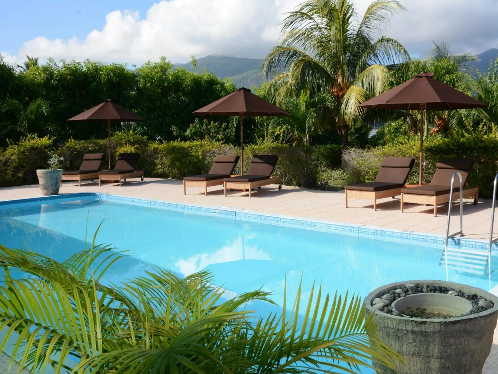 Pool view in Villa De Cerf