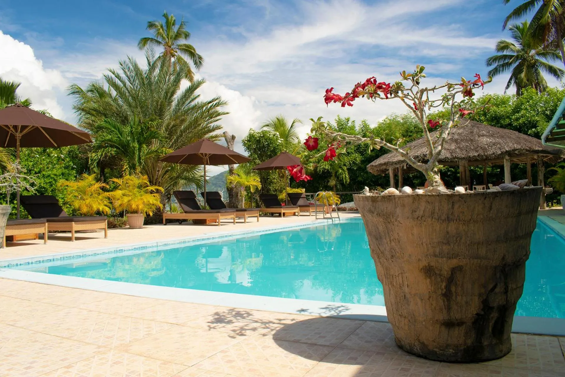 Pool view in Villa De Cerf