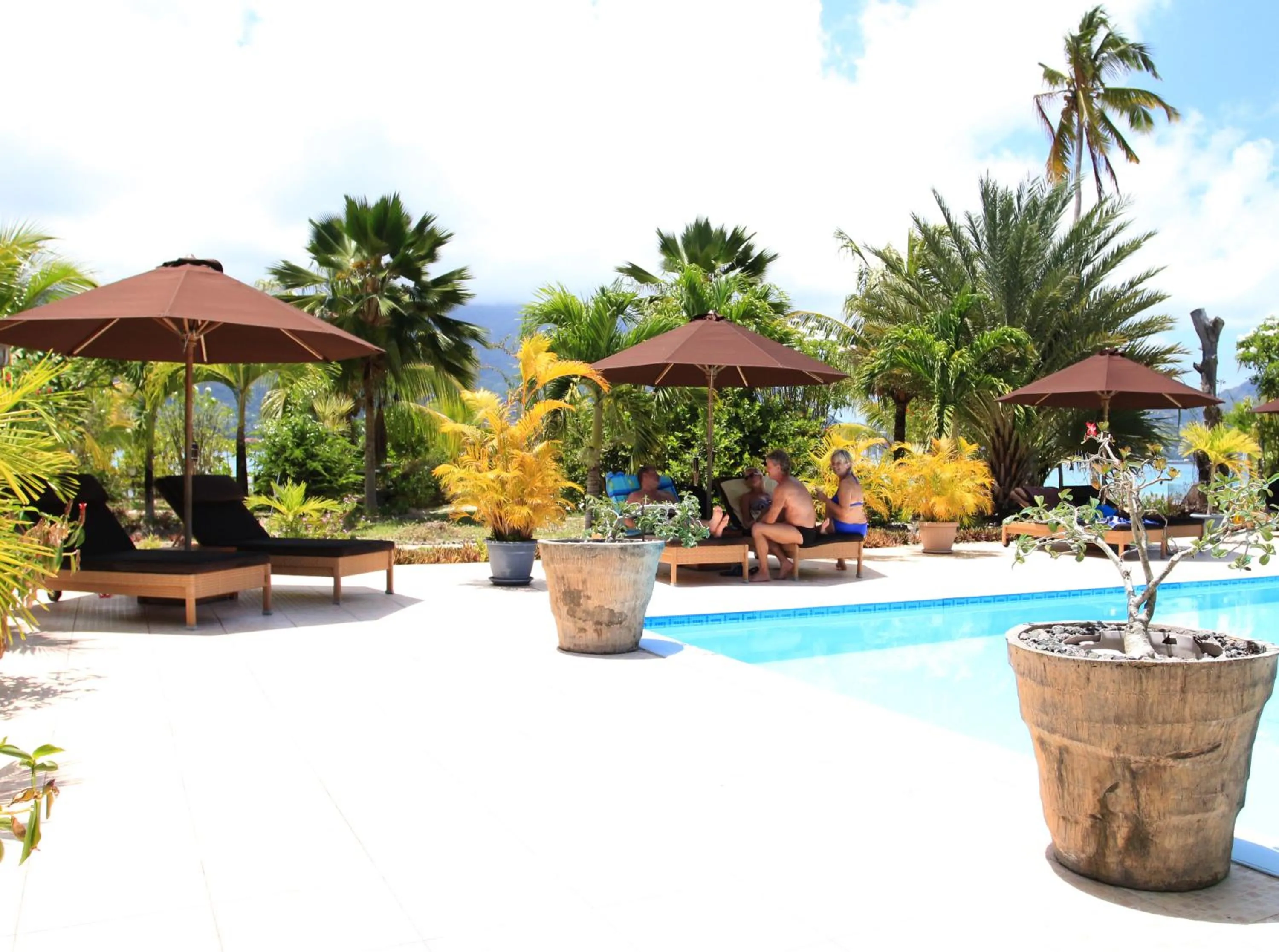 Pool view in Villa De Cerf