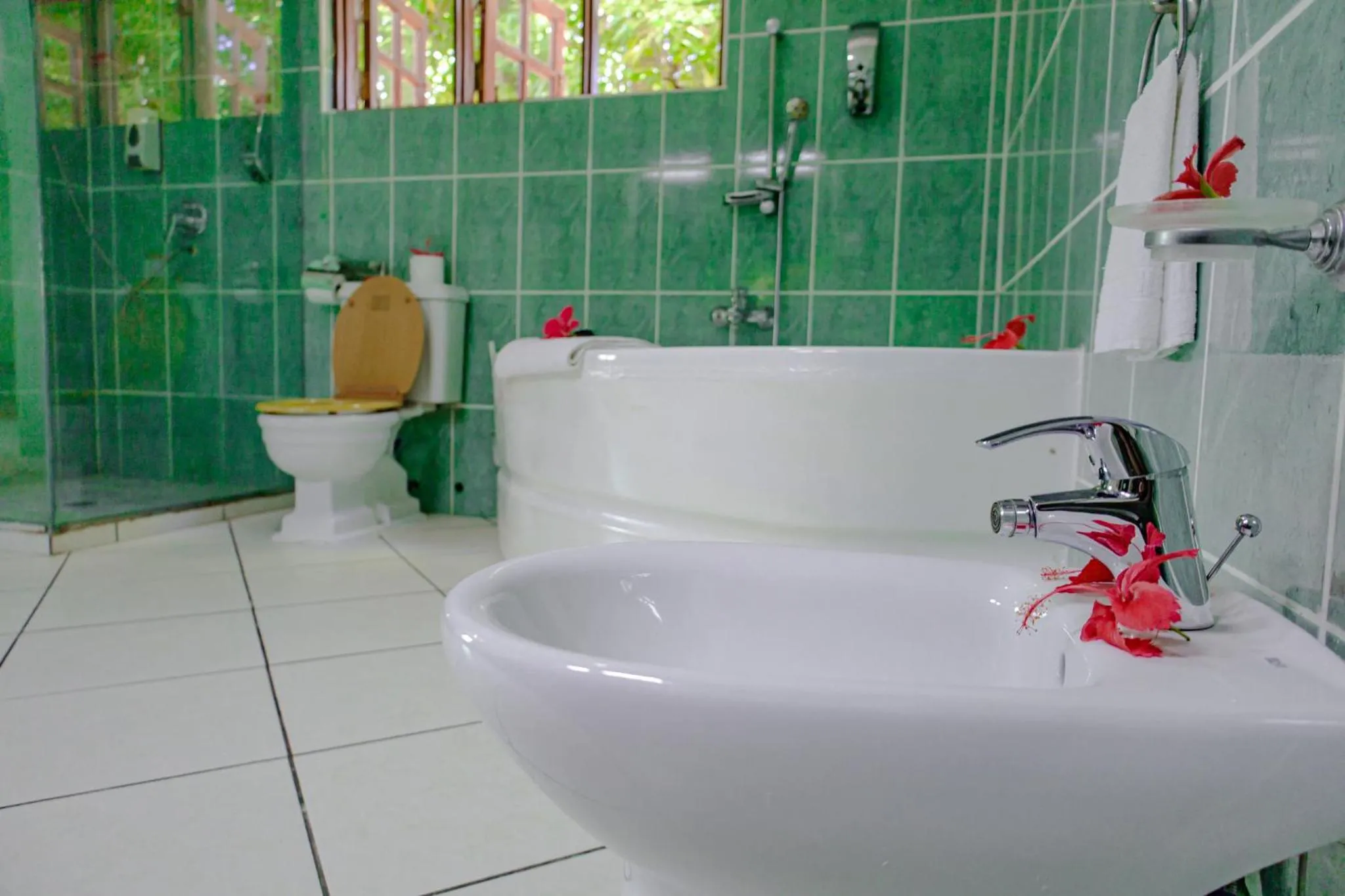 Bathroom in Villa De Cerf