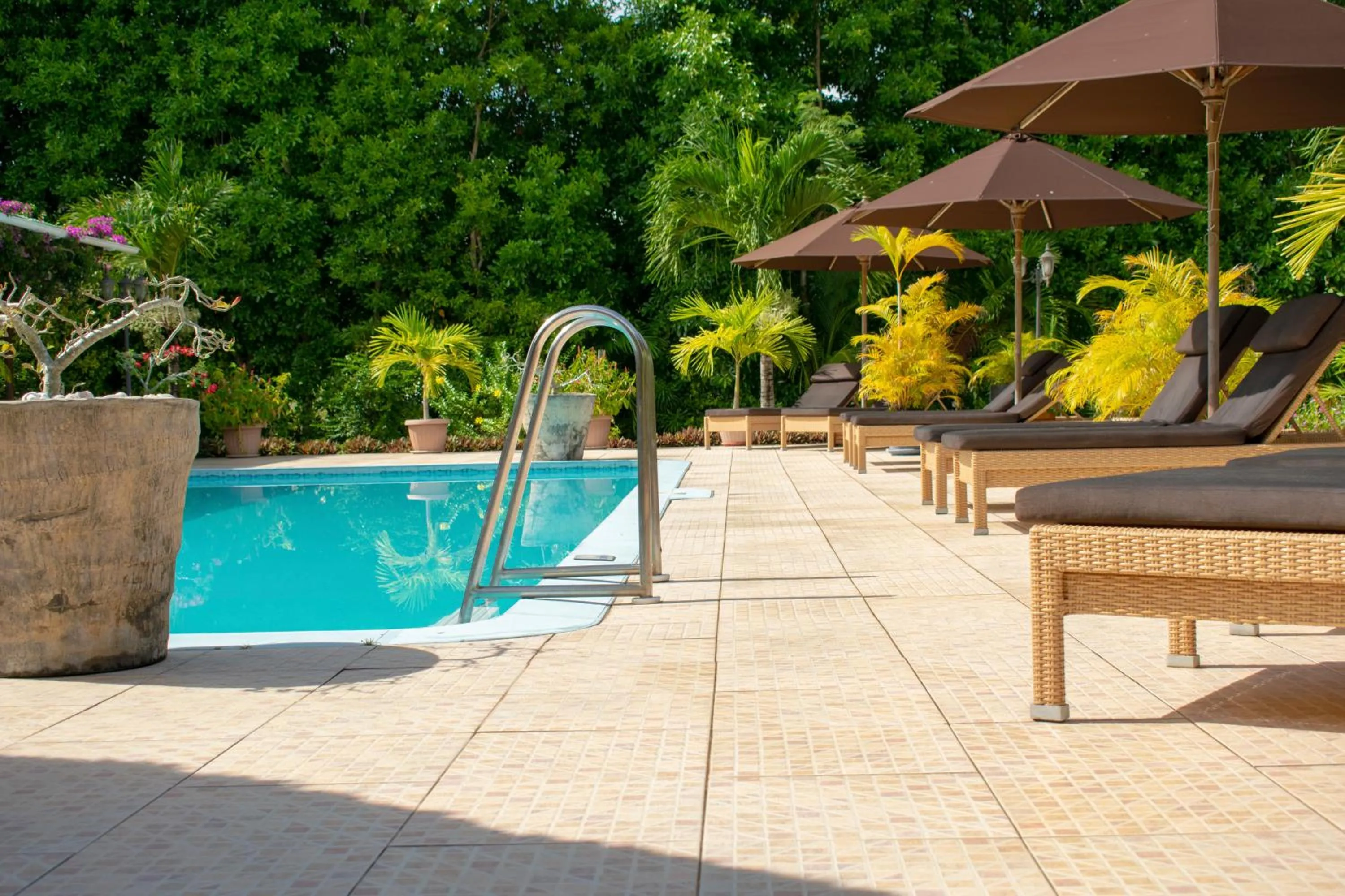 Swimming pool in Villa De Cerf