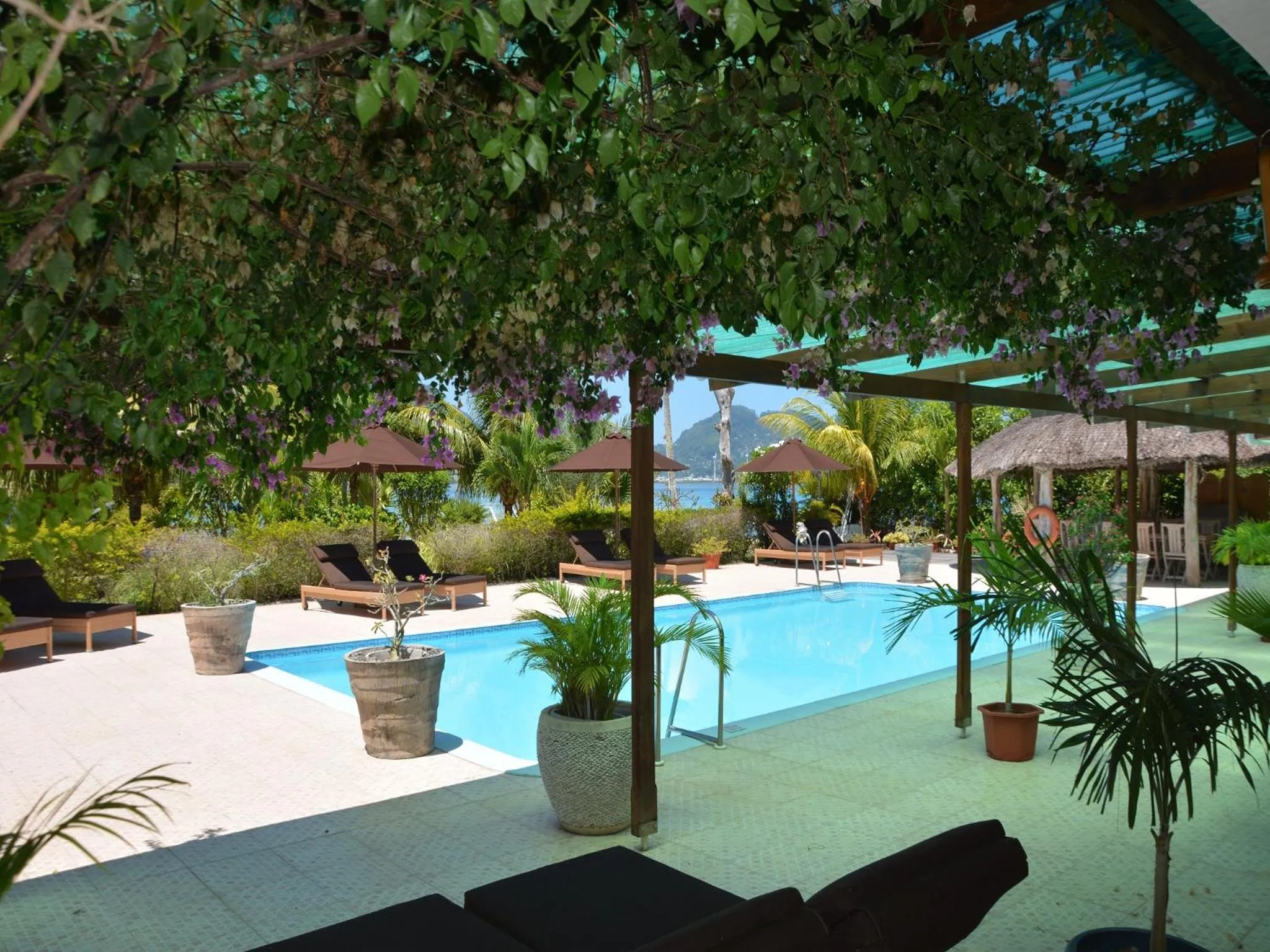 Pool view in Villa De Cerf