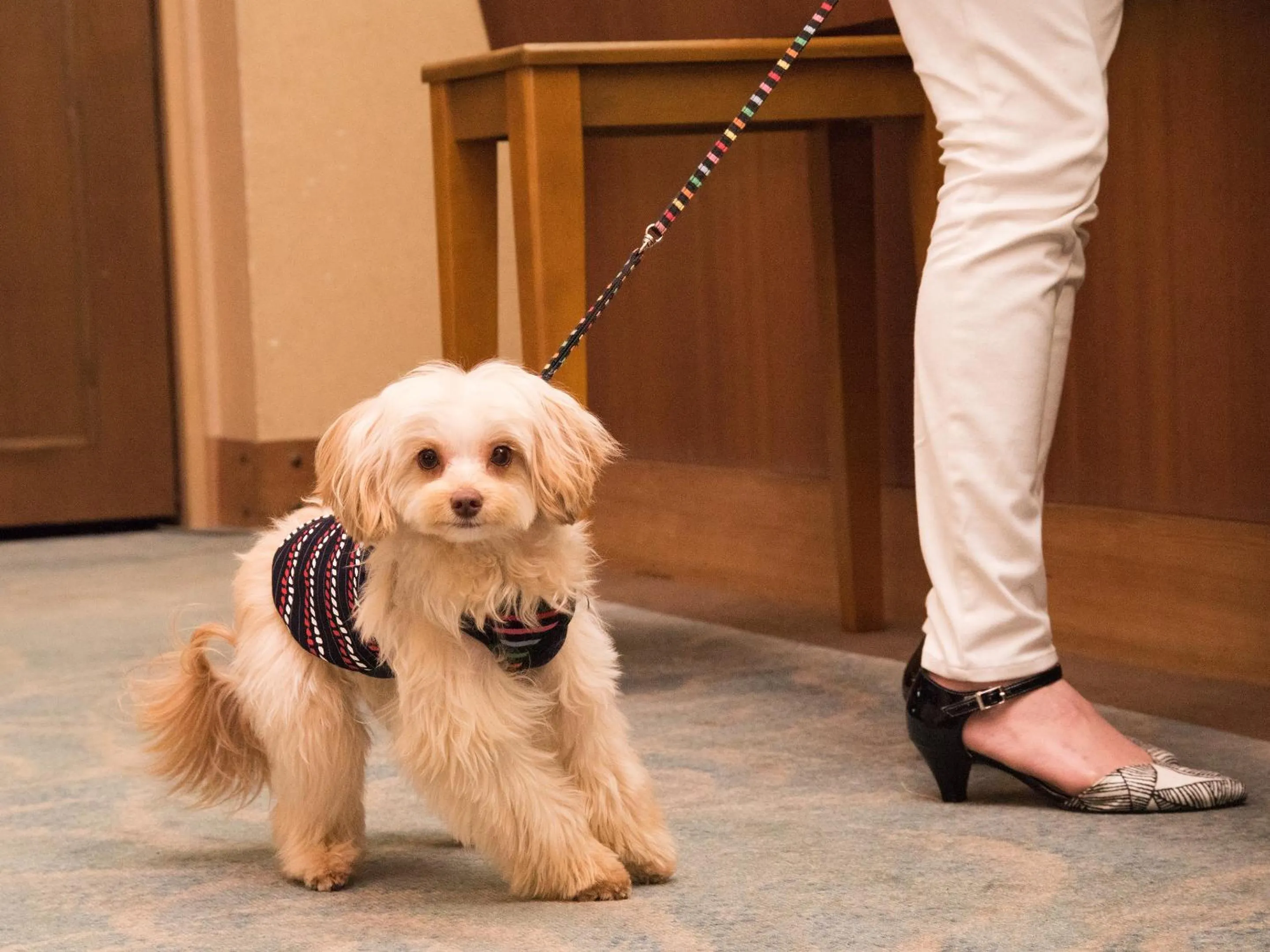 Lobby or reception in Bousenkaku