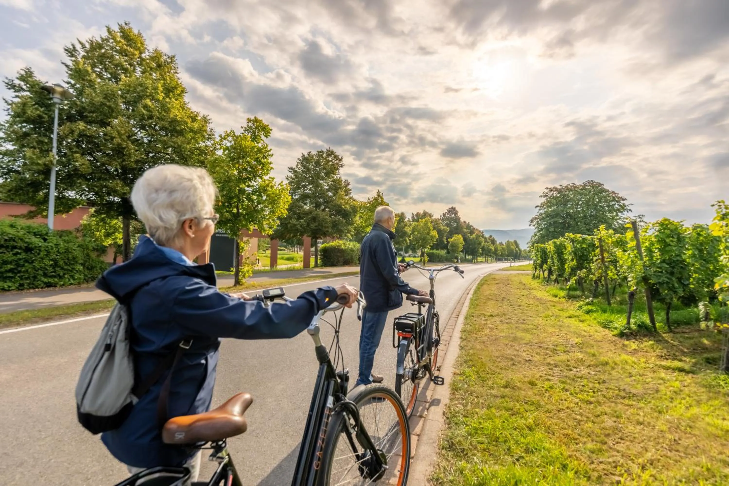 Activities in Eurostrand Resort Moseltal