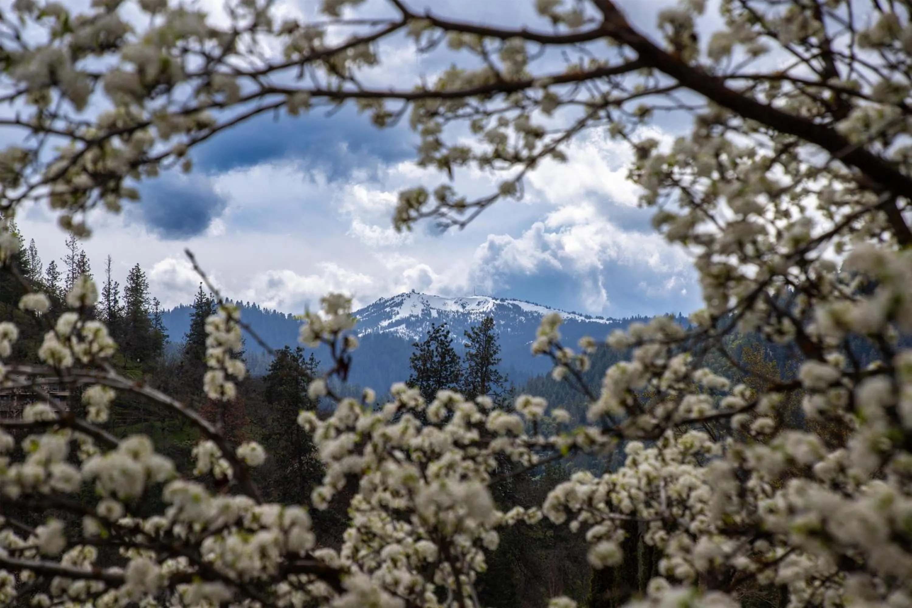 Other in The Bard's Inn - BW Signature Collection by Best Western