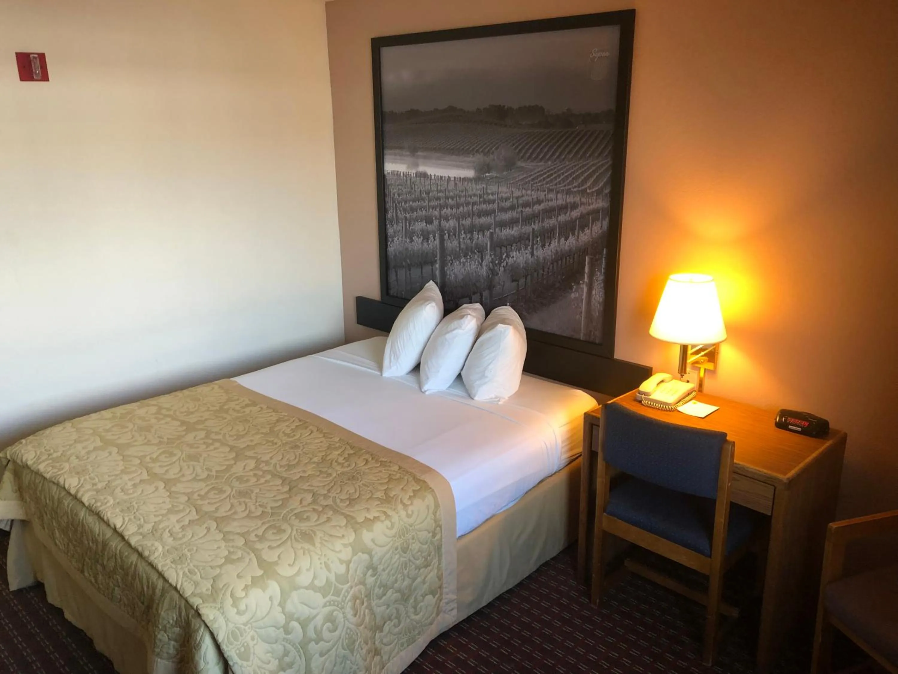 Photo of the whole room, Bed in Super 8 by Wyndham Pendleton