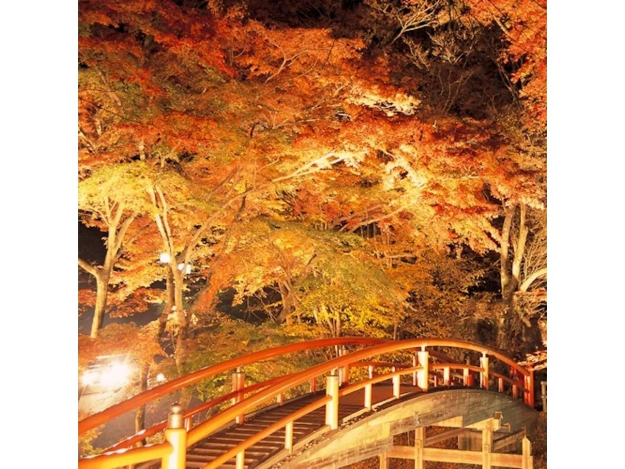 Ikaho Onsen Sanyo Hotel - Vacation STAY 26406v