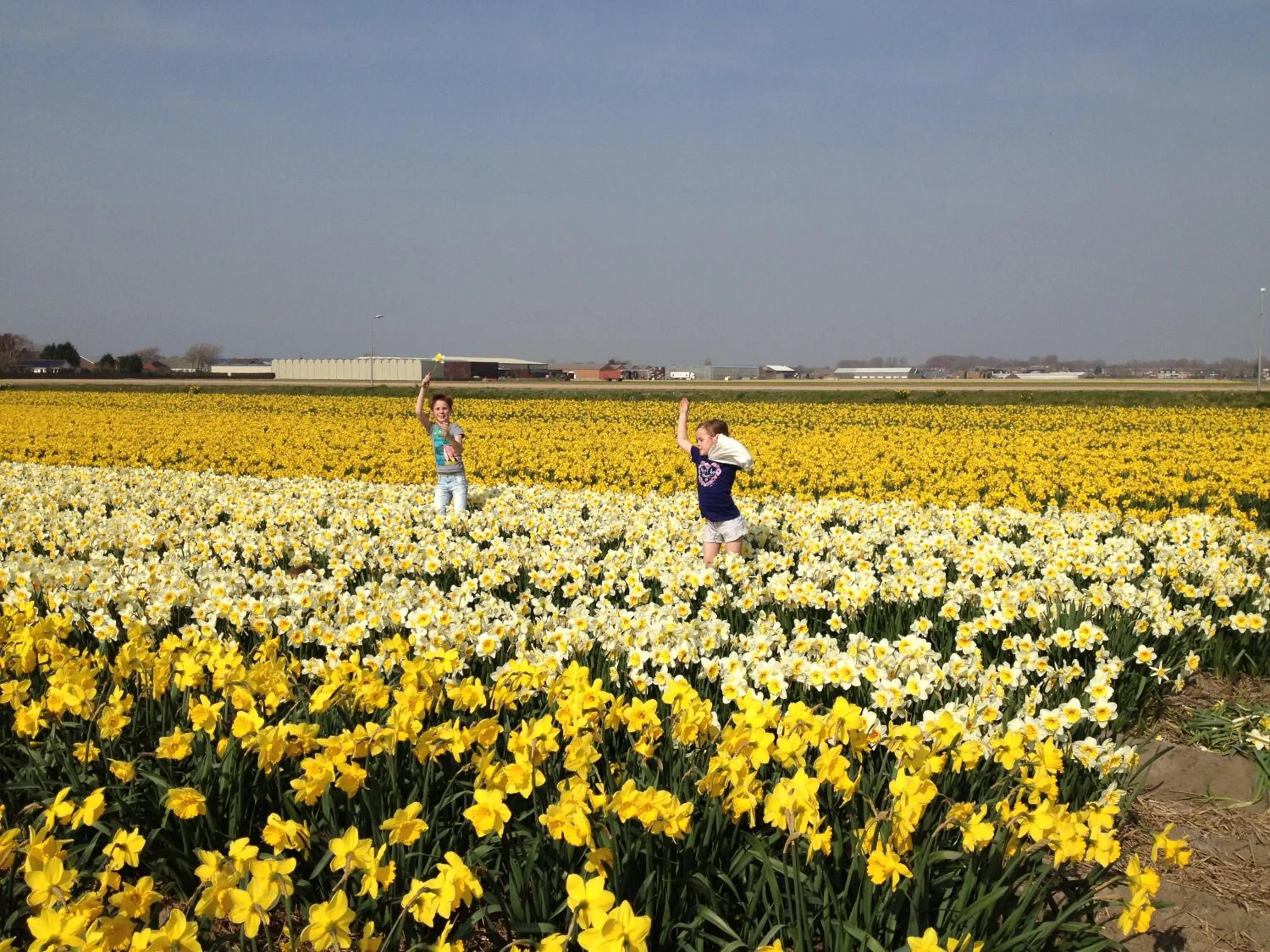 Natural landscape in Nicolette Apartments