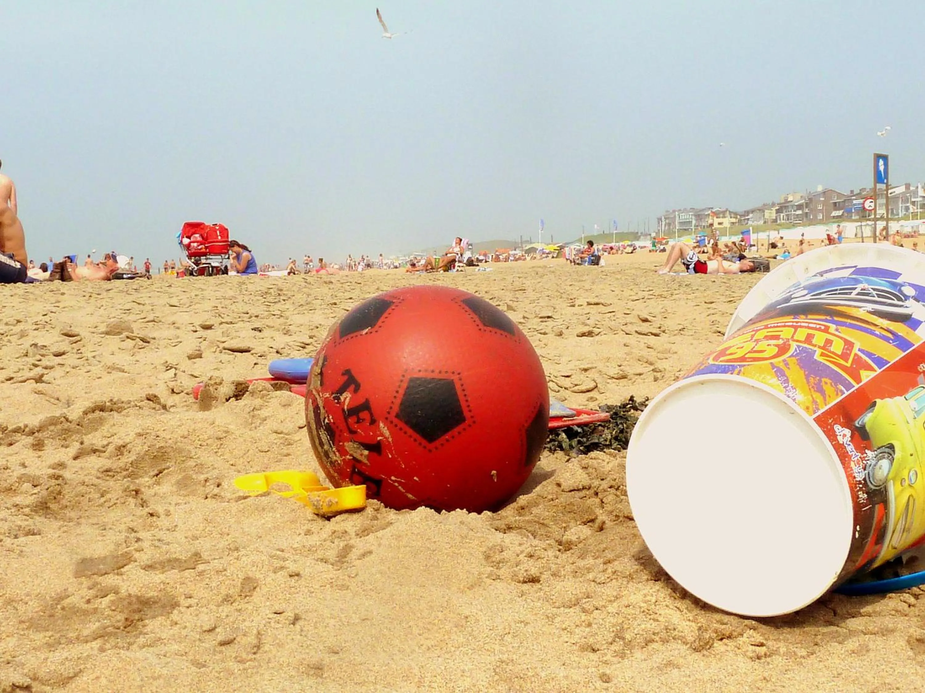 Natural landscape in Nicolette Apartments