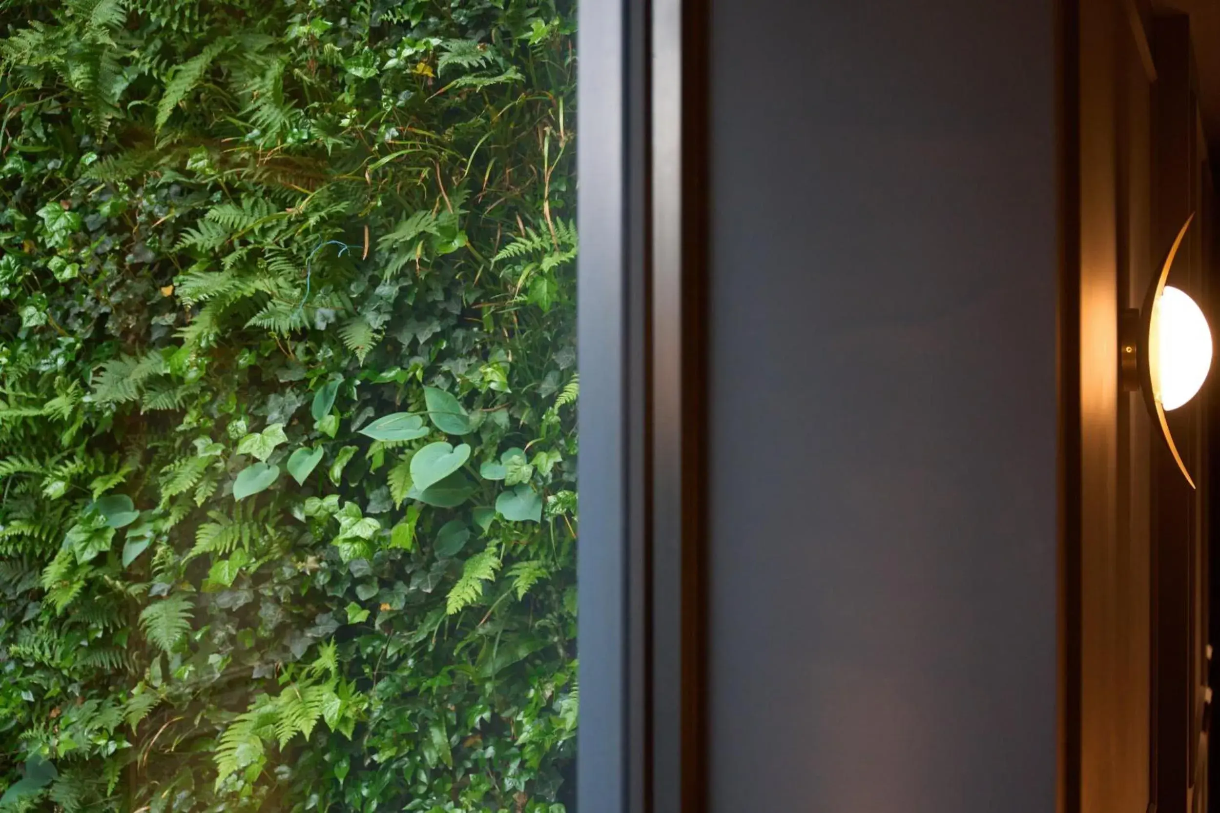 Inner courtyard view in The Store Inner courtyard view in The Store