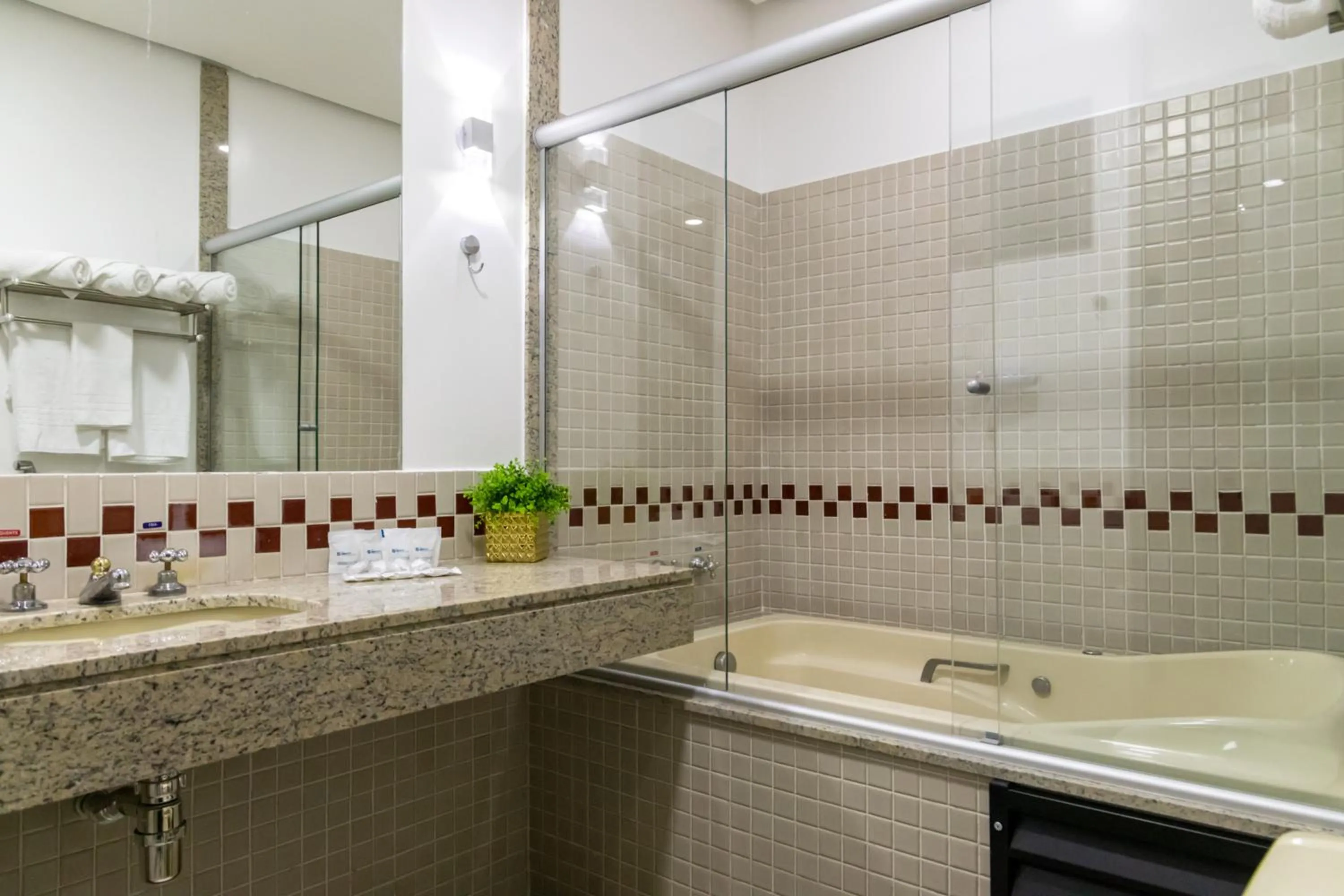 Bathroom in Hotel Dan Inn Uberlandia By Nacional Inn