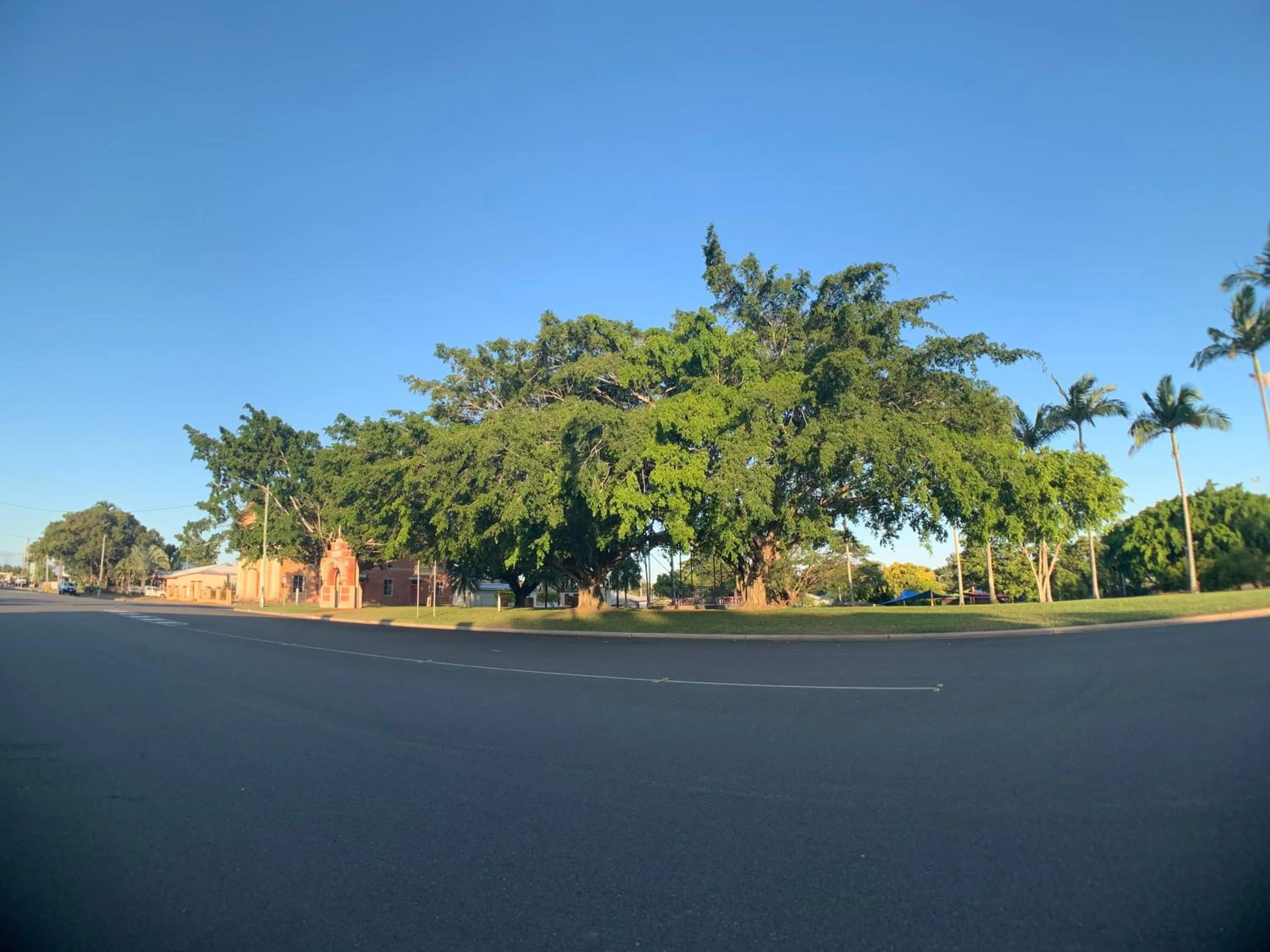 Tropical City Motor Inn