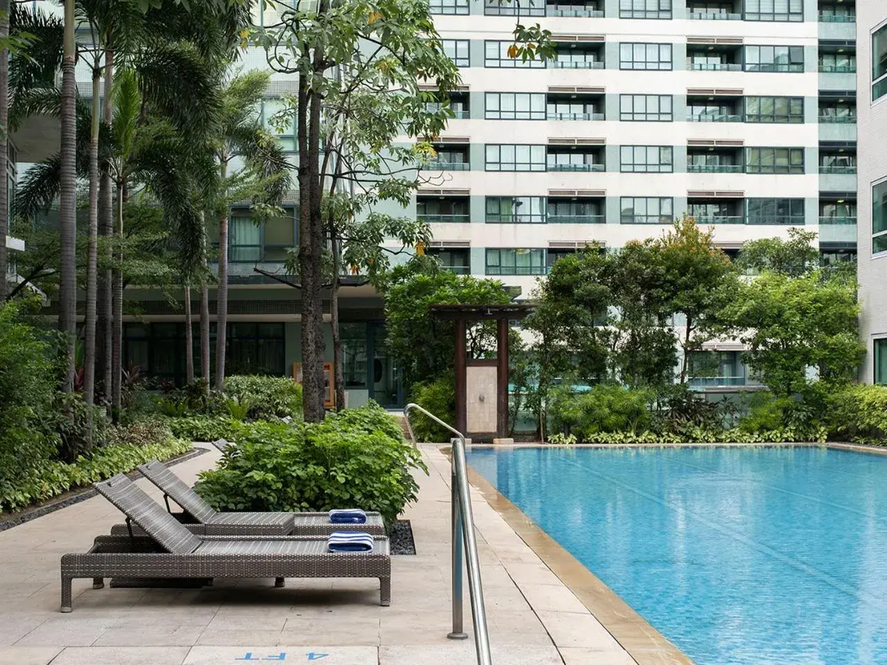 Swimming pool in Aruga Apartments by Rockwell Makati Swimming pool in Aruga Apartments by Rockwell Makati