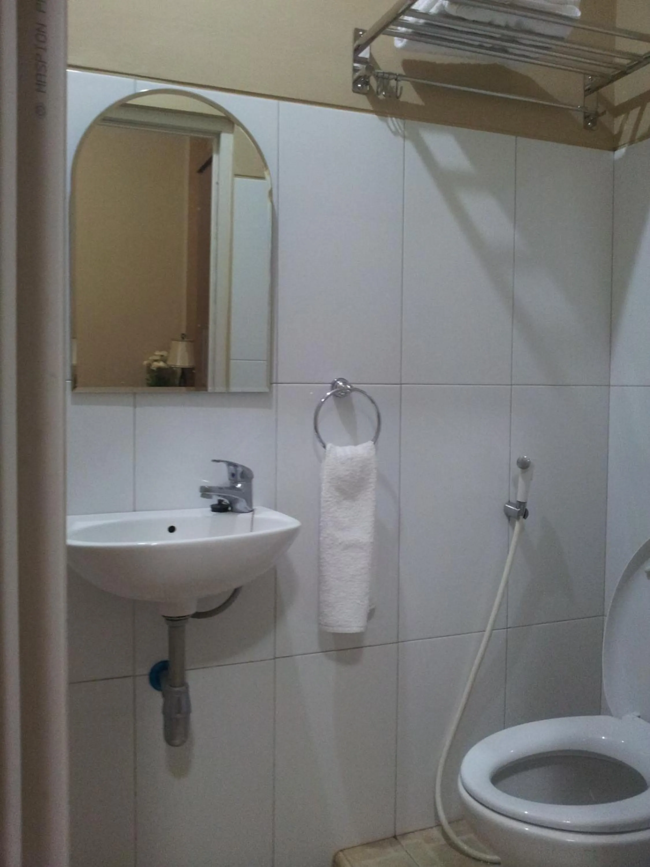 Shower in Safa Homestay