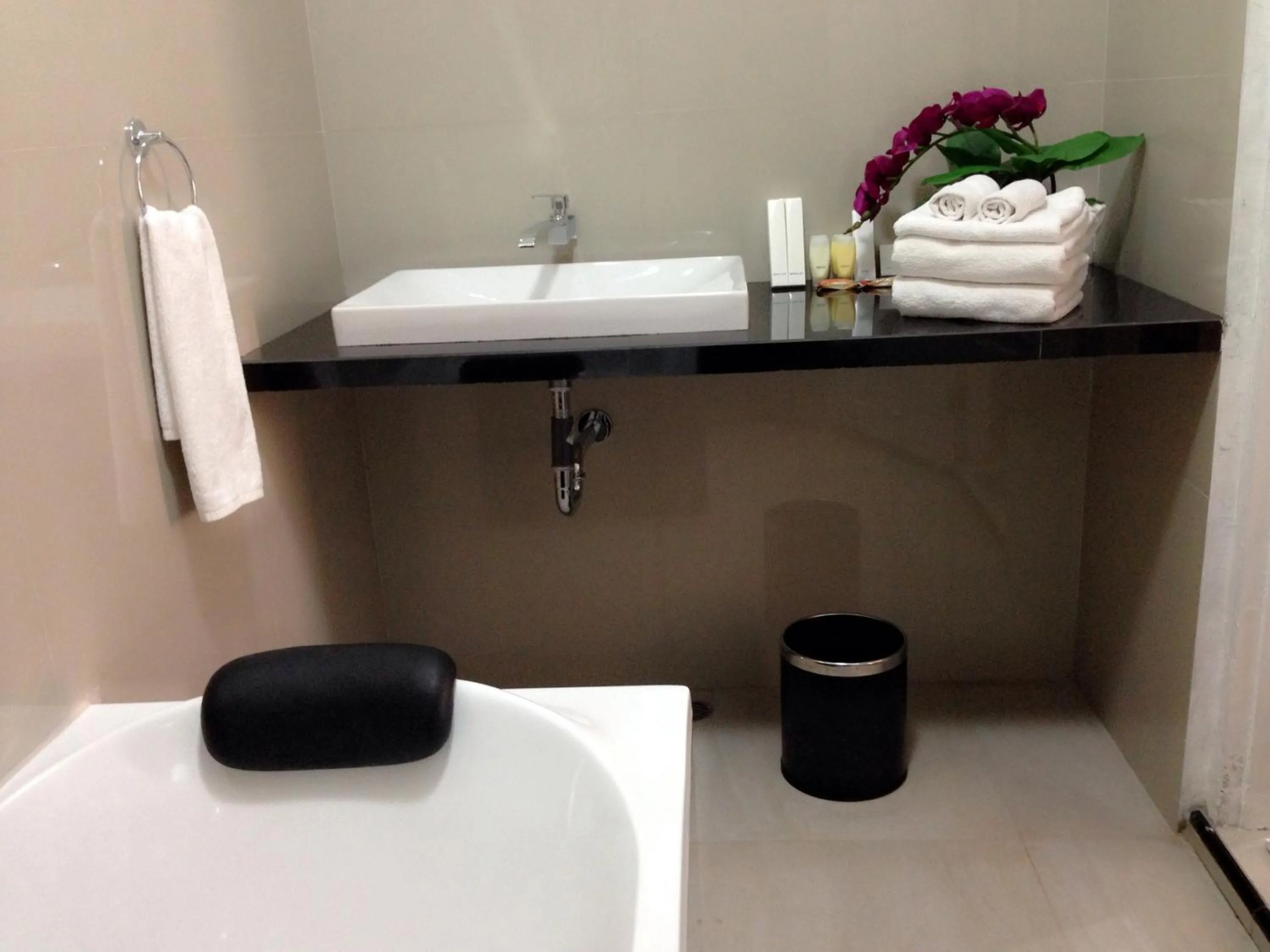 Shower in Safa Homestay