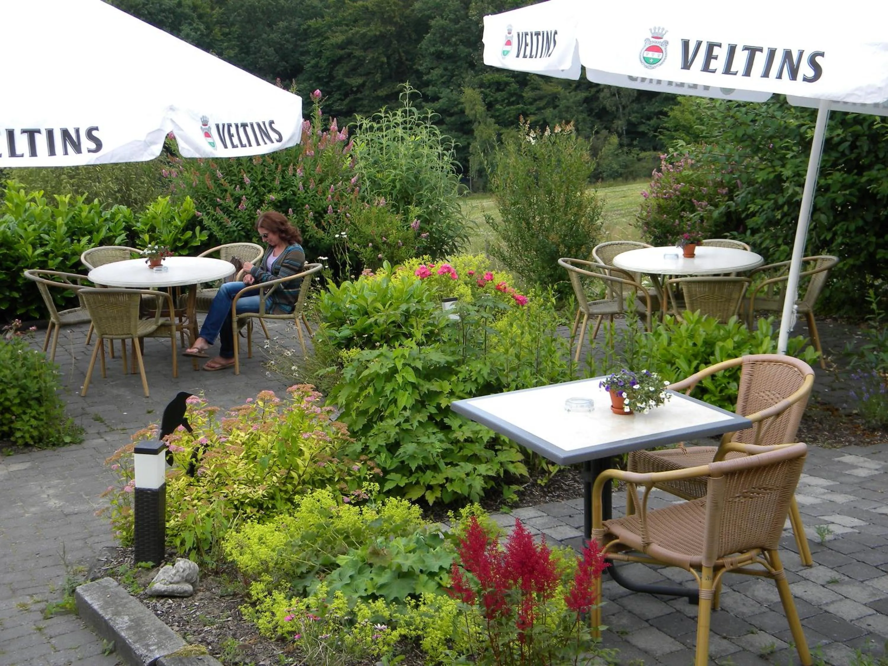 Balcony/Terrace in Hotelanlage Country Lodge