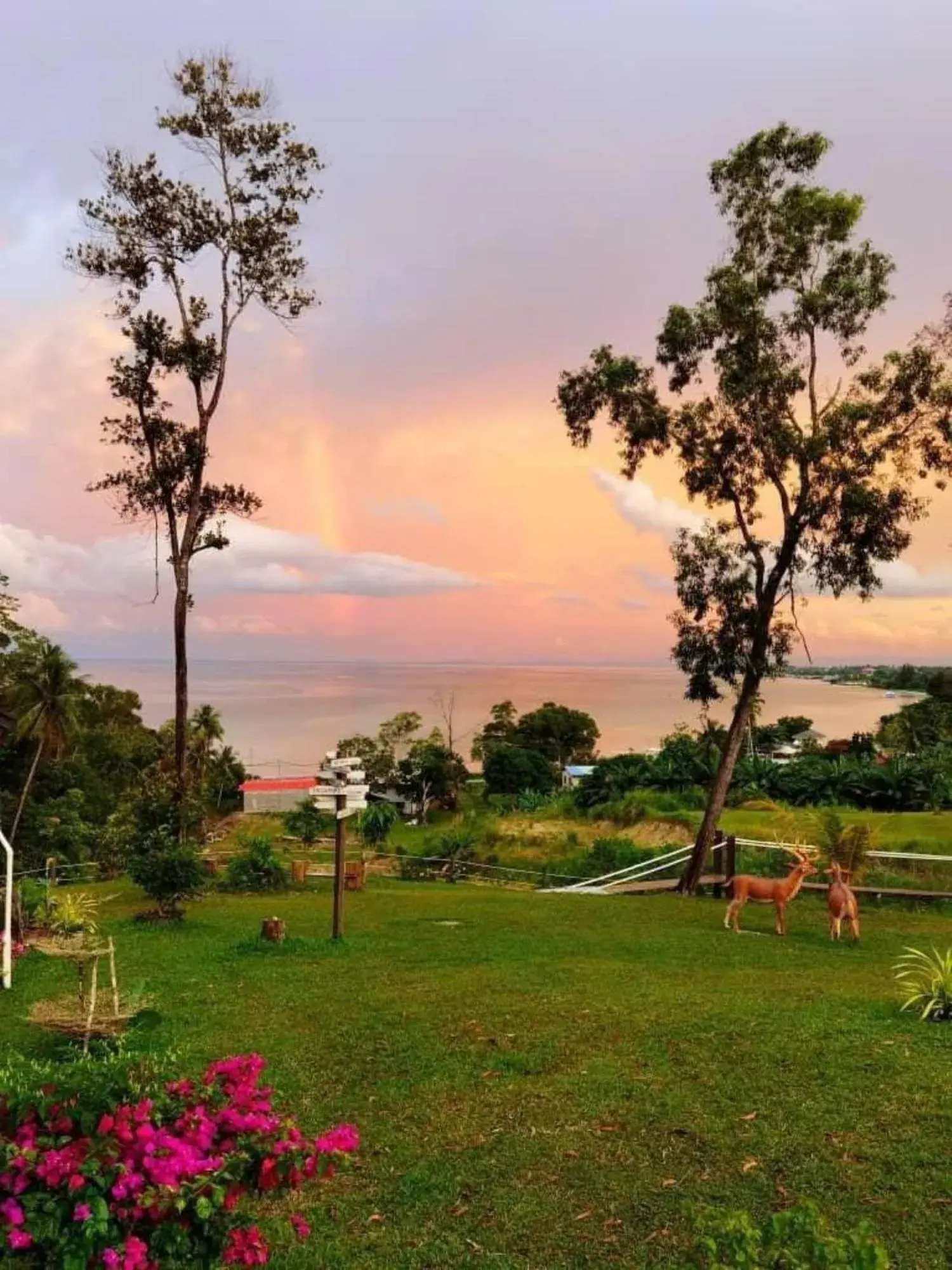 View (from property/room) in D View Holiday Homes View (from property/room) in D View Holiday Homes