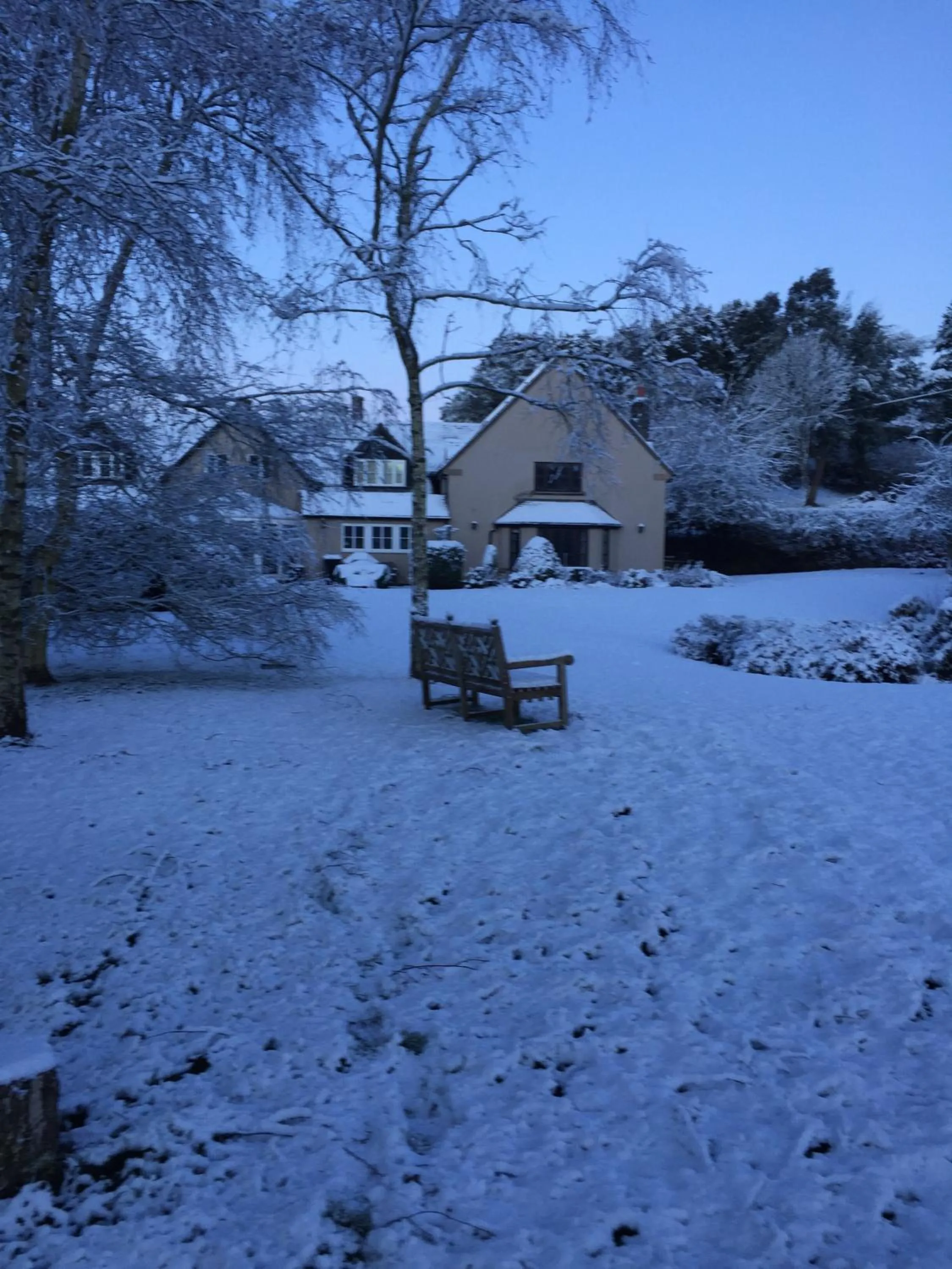 Winter in Sayang House