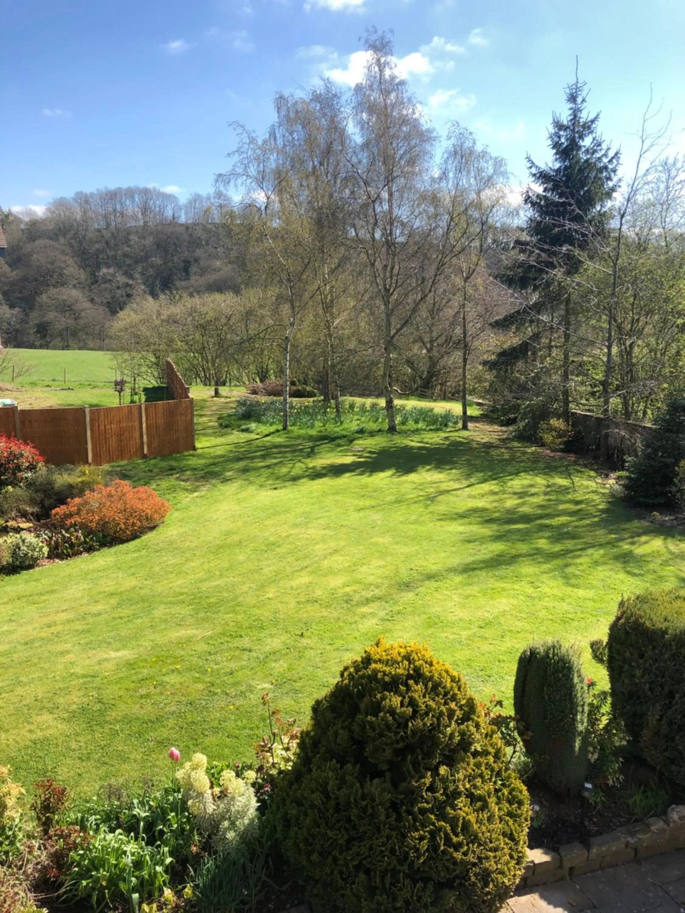 Garden in Sayang House