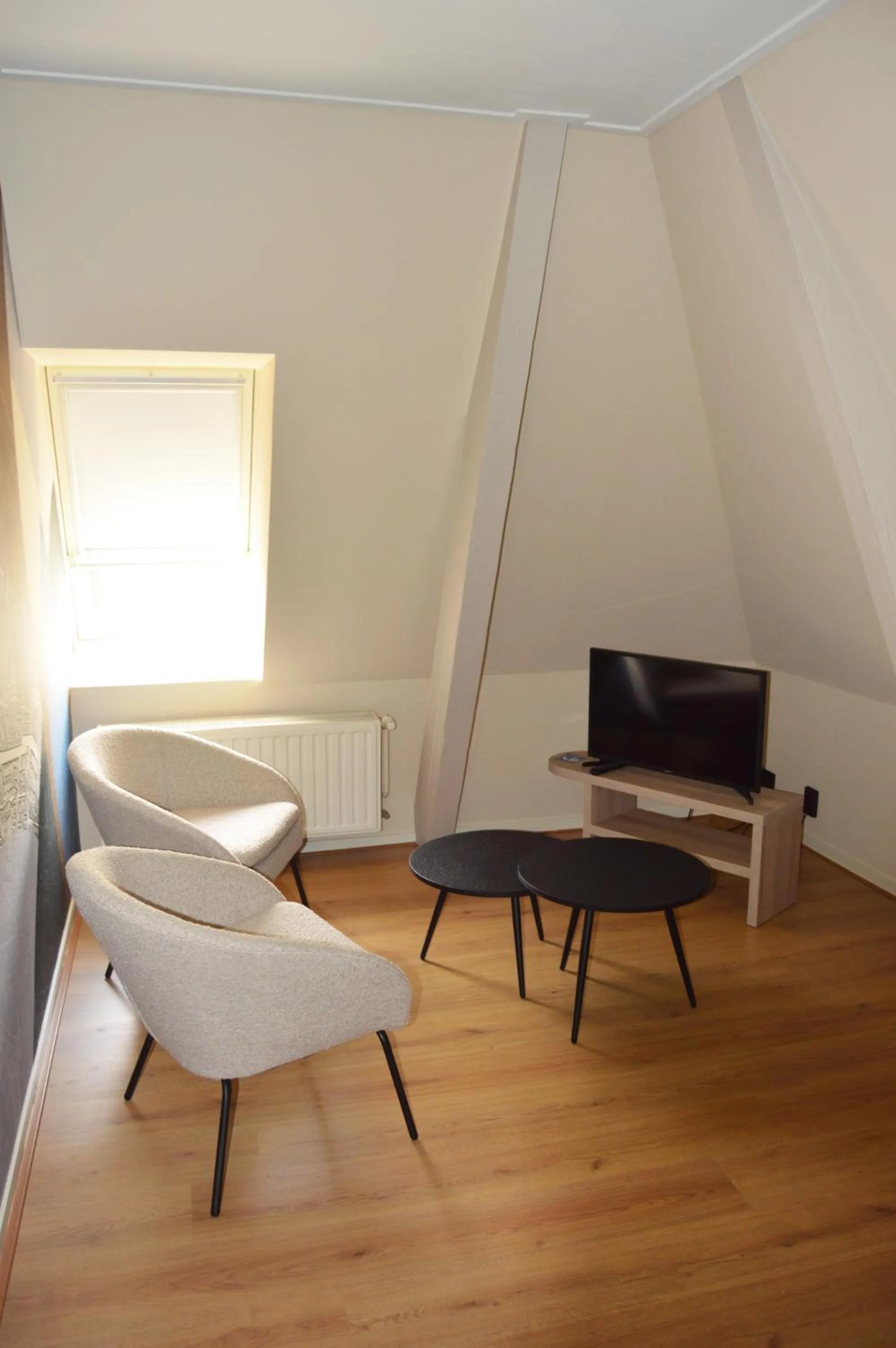 TV and multimedia in Fletcher Hotel Paleis Stadhouderlijk Hof