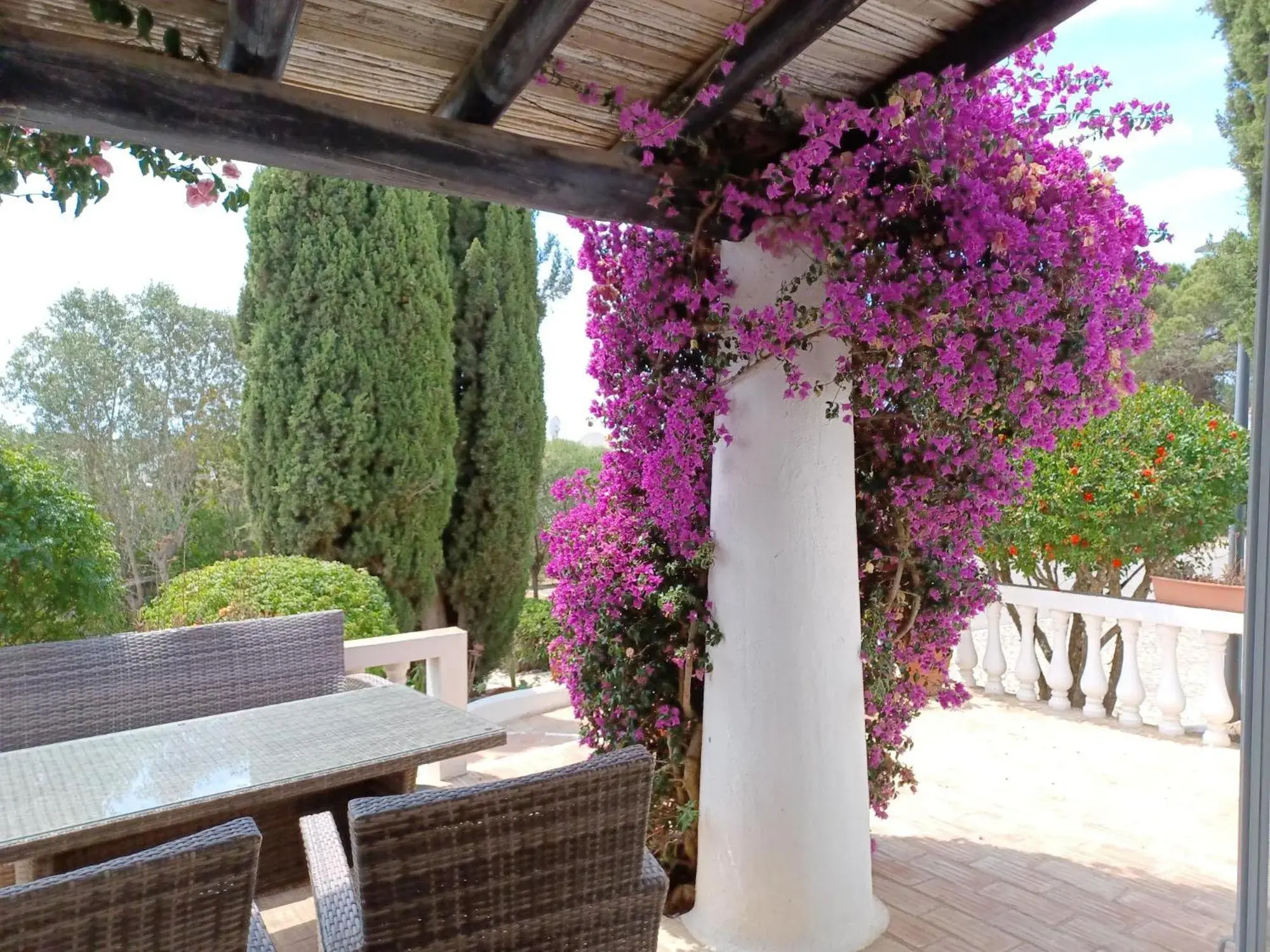 Quinta do Paraíso - Casa Colynda Quinta do Paraíso - Casa Colynda